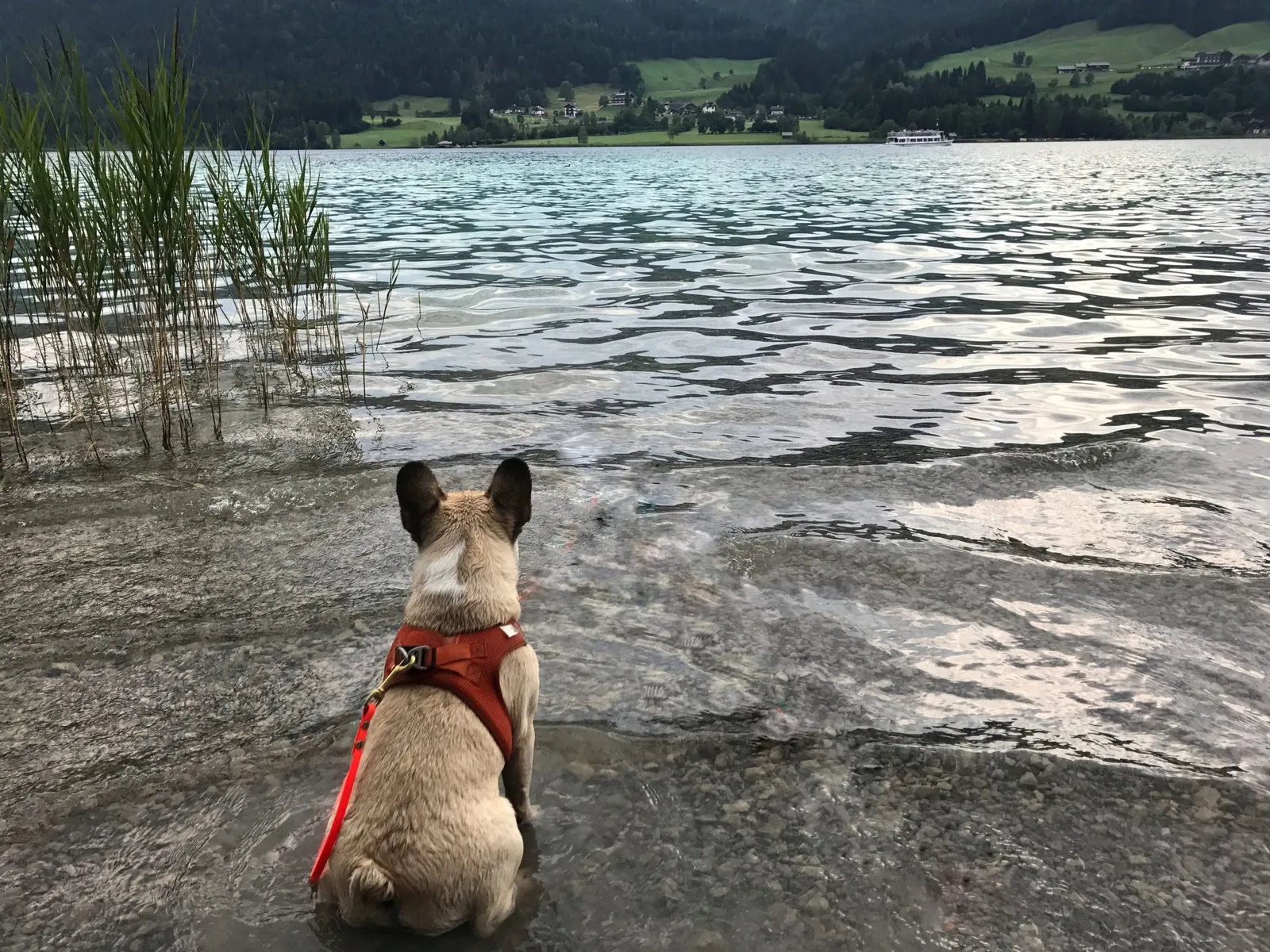 Weissensee