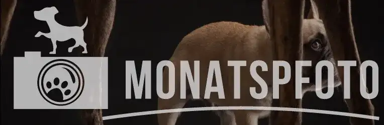 Monatspfoto September - Kontrastreich