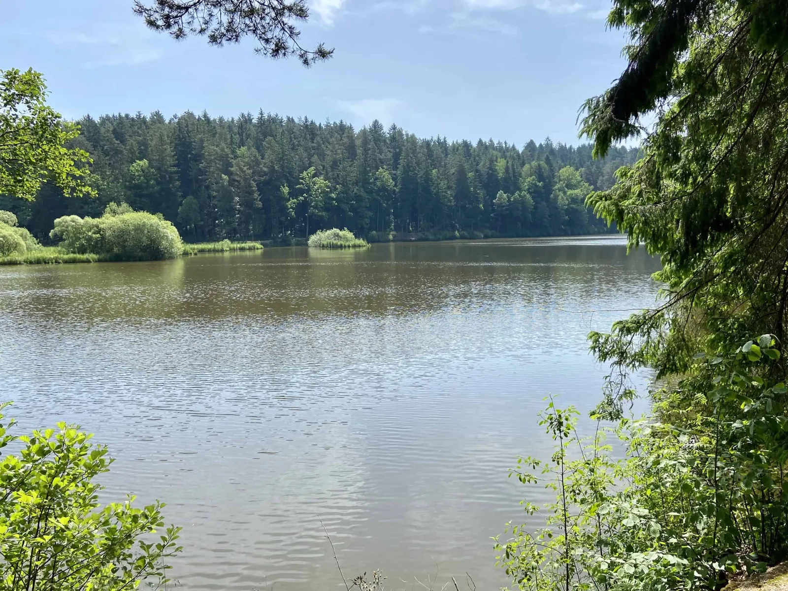 Hundefreundliche Runde um den Herrensee