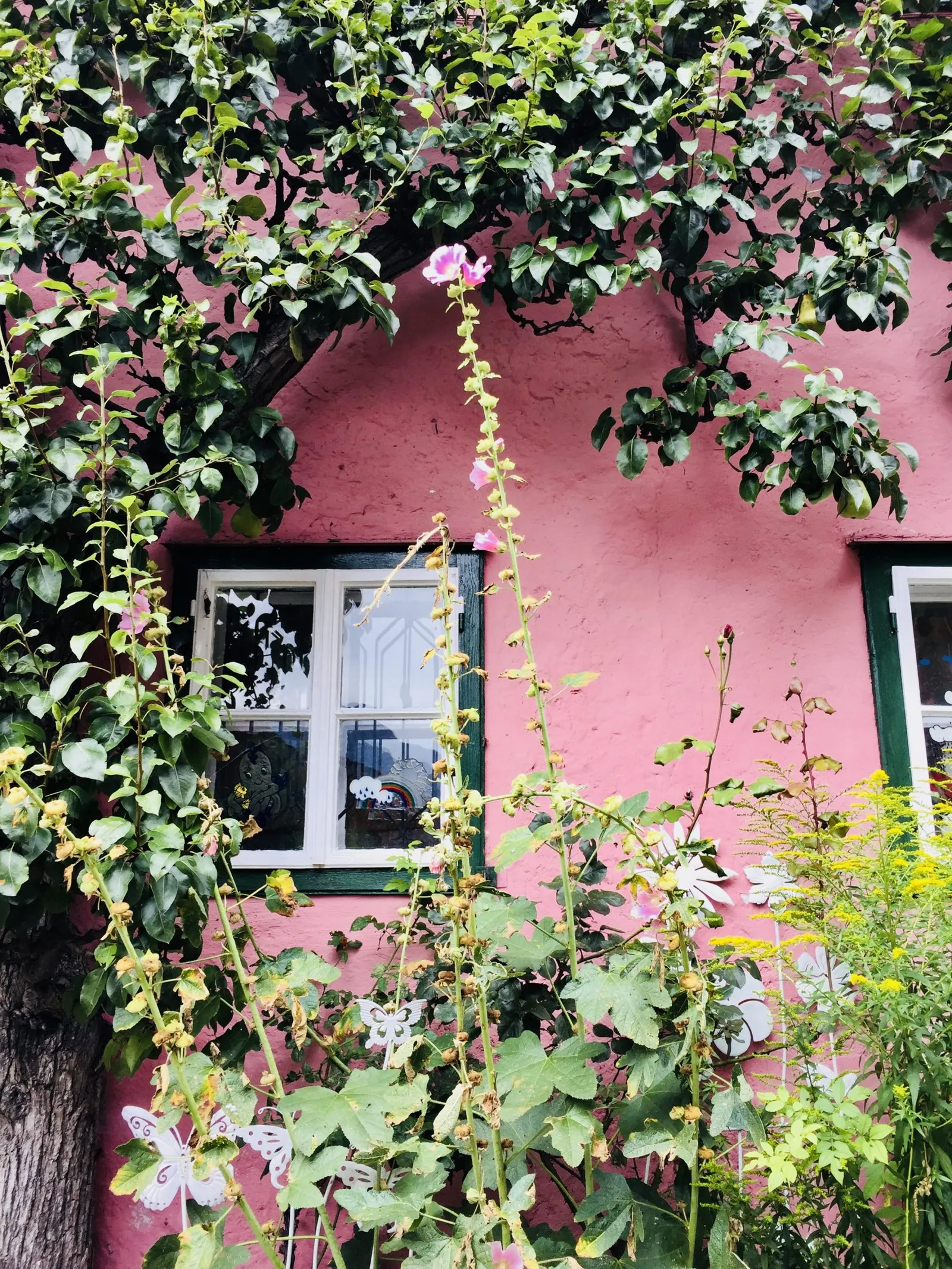 Hallstatt mit Hund