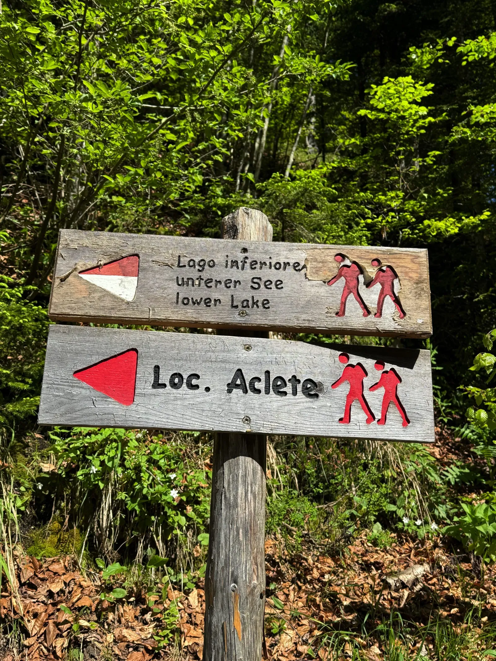 Hölzerner Wegweiser zum unteren See der Laghi di Fusine im Wald.