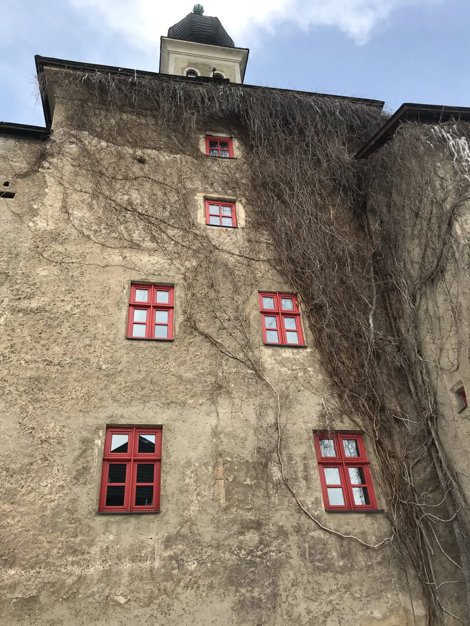 Hundehotel