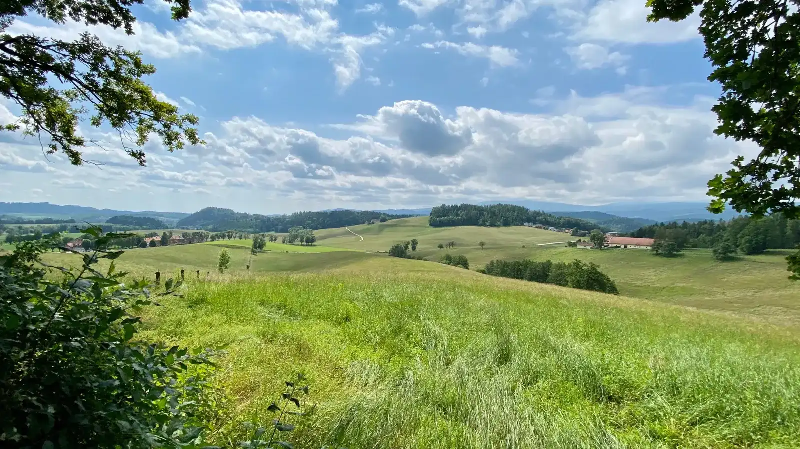 Hundefreundliche Ausflüge rund um den Packer Stausee - Teil 2