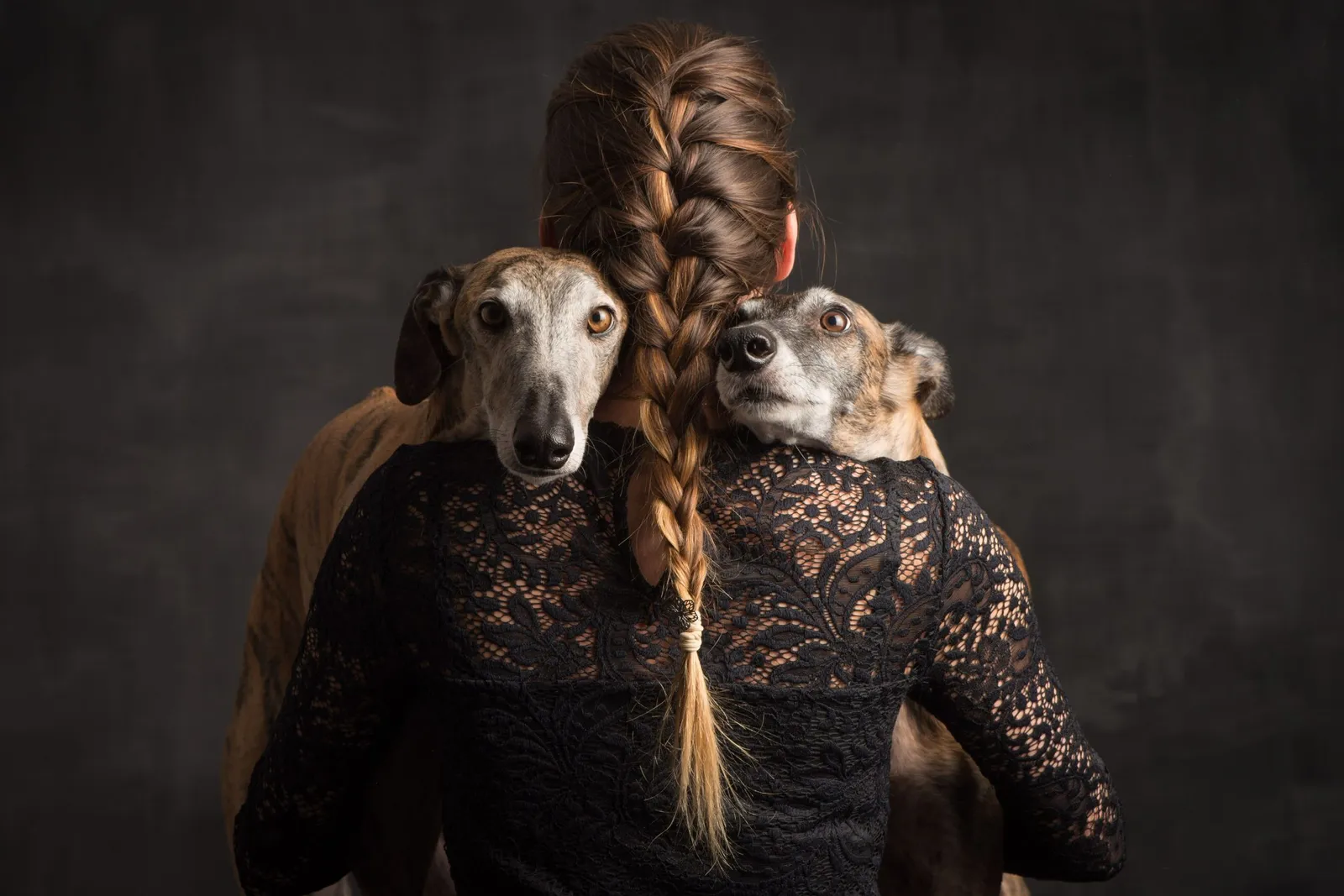 Hunde Fotoshooting