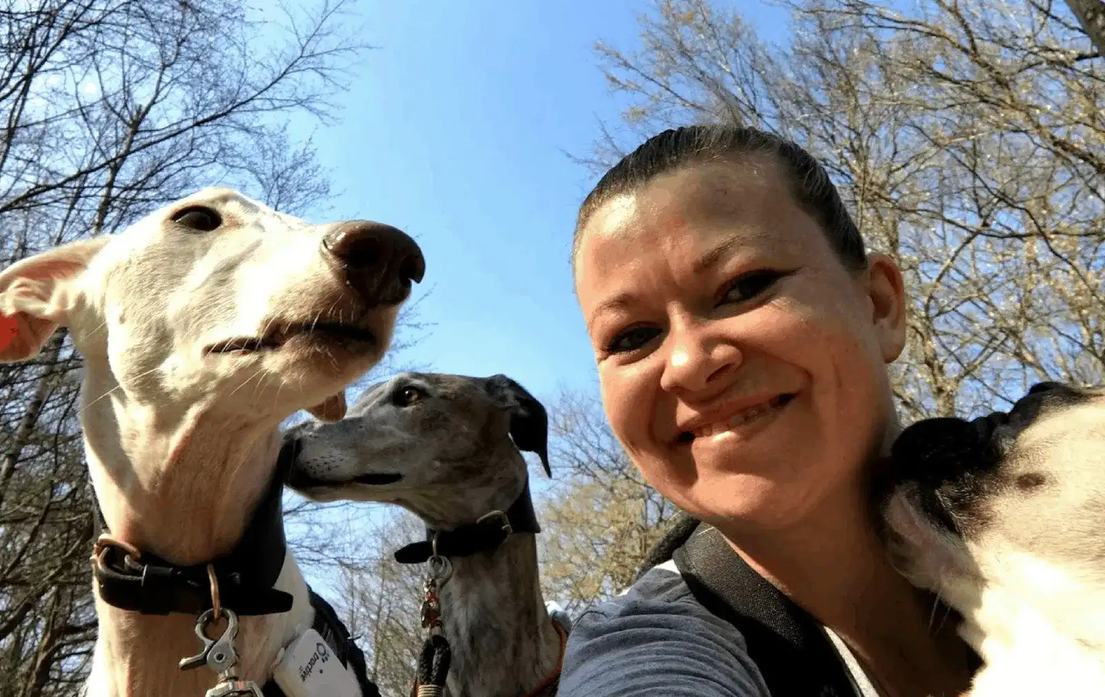 Hundefreundliche Wanderung in Donnerskirchen, Burgenland