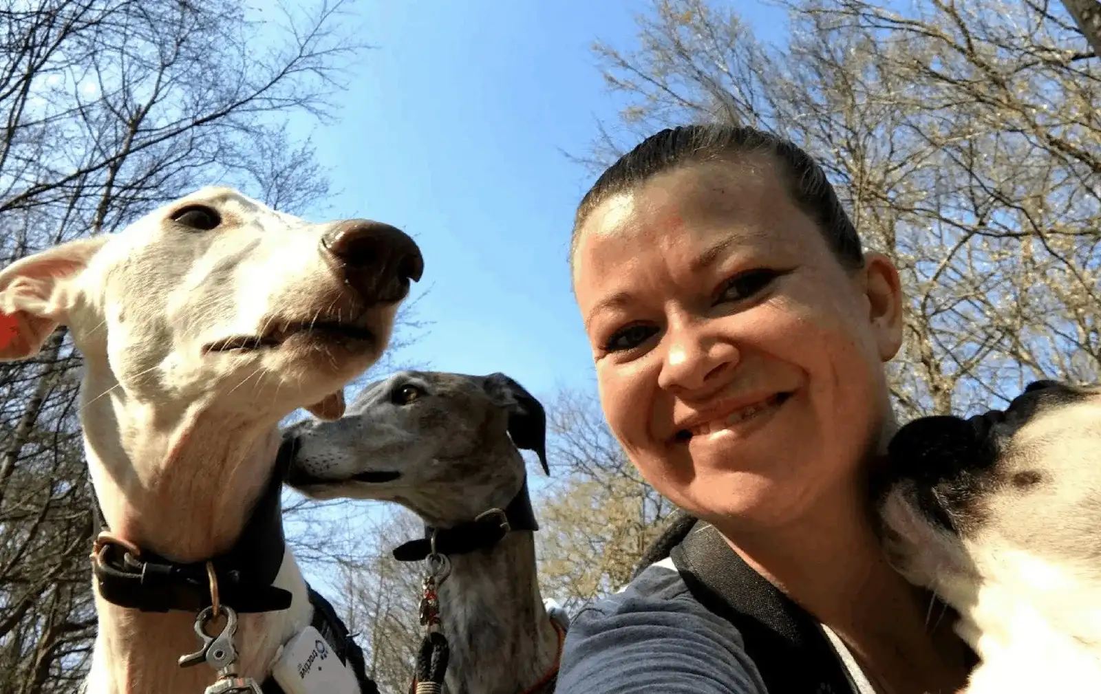 Hundefreundliche Wanderung in Donnerskirchen, Burgenland