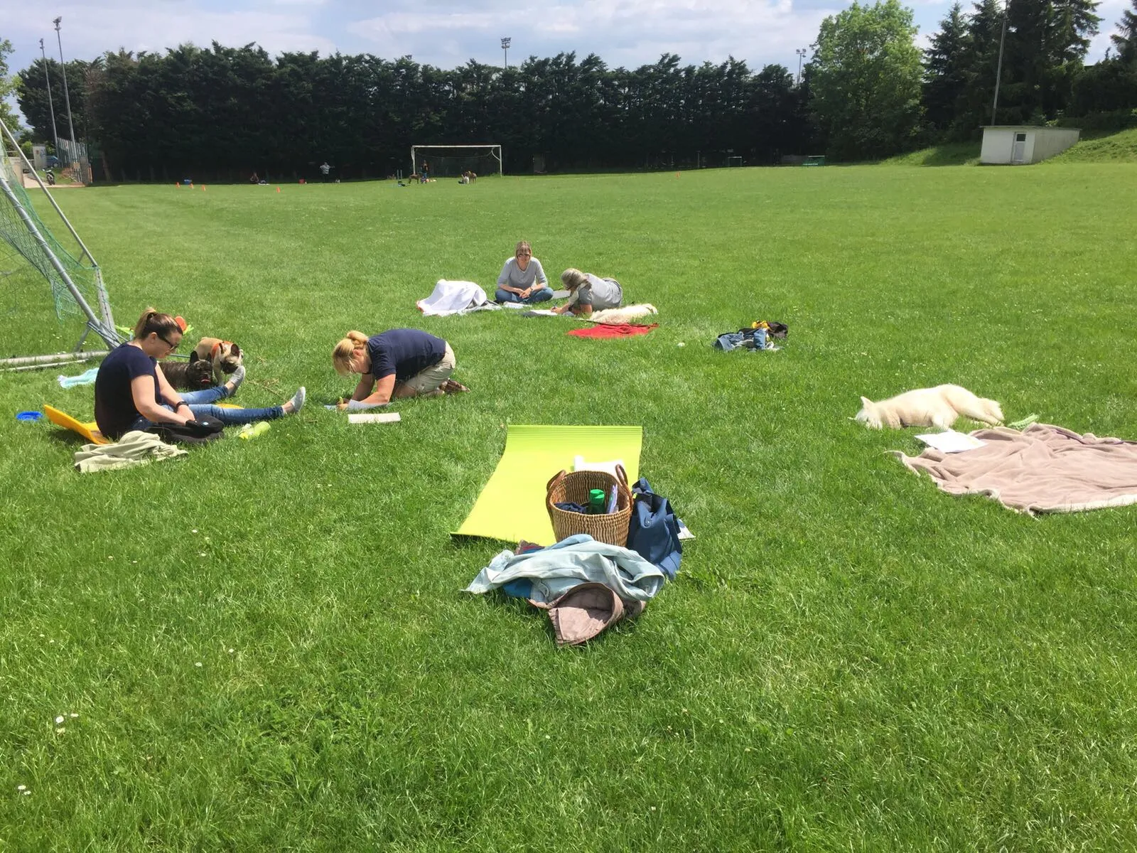 Intensiv Seminar Mensch-Hund-Beziehung