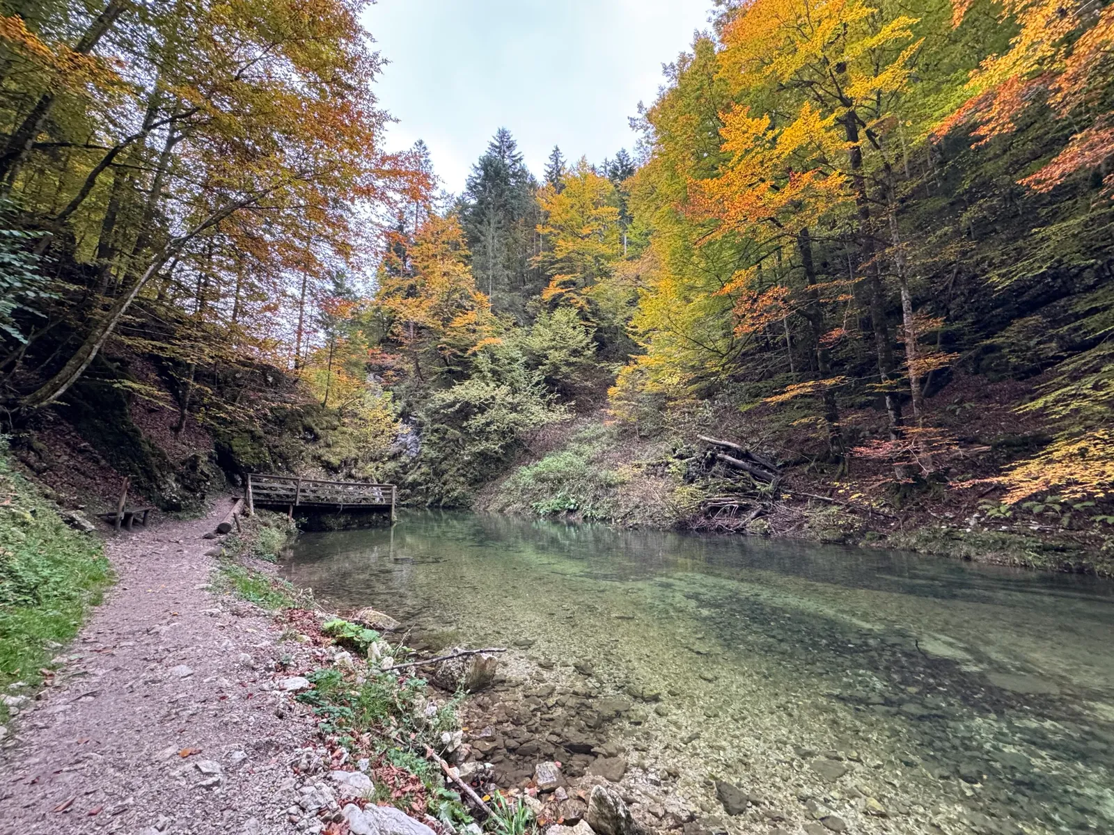 Herbstlich gefärbter Wald säumt einen klaren Bach im Mendlingtal mit einer Holzbrücke.
