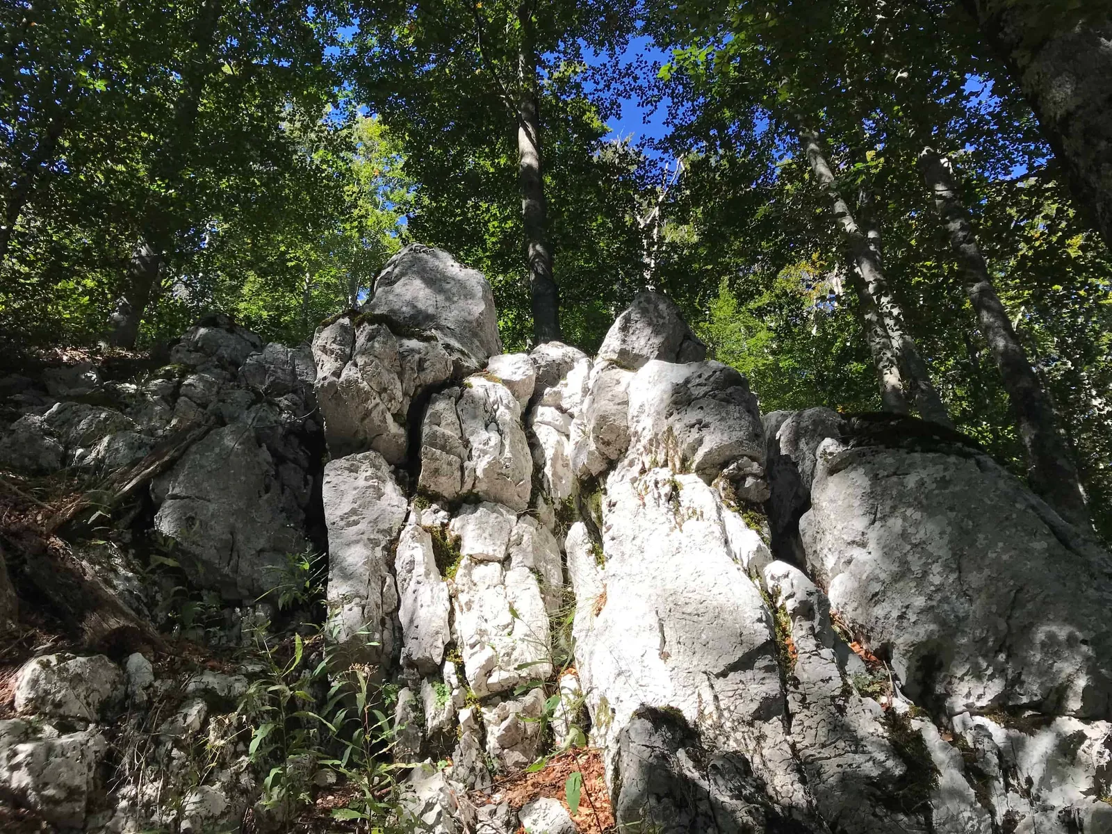 Urlaub Wandern Hund Vojak Kroatien