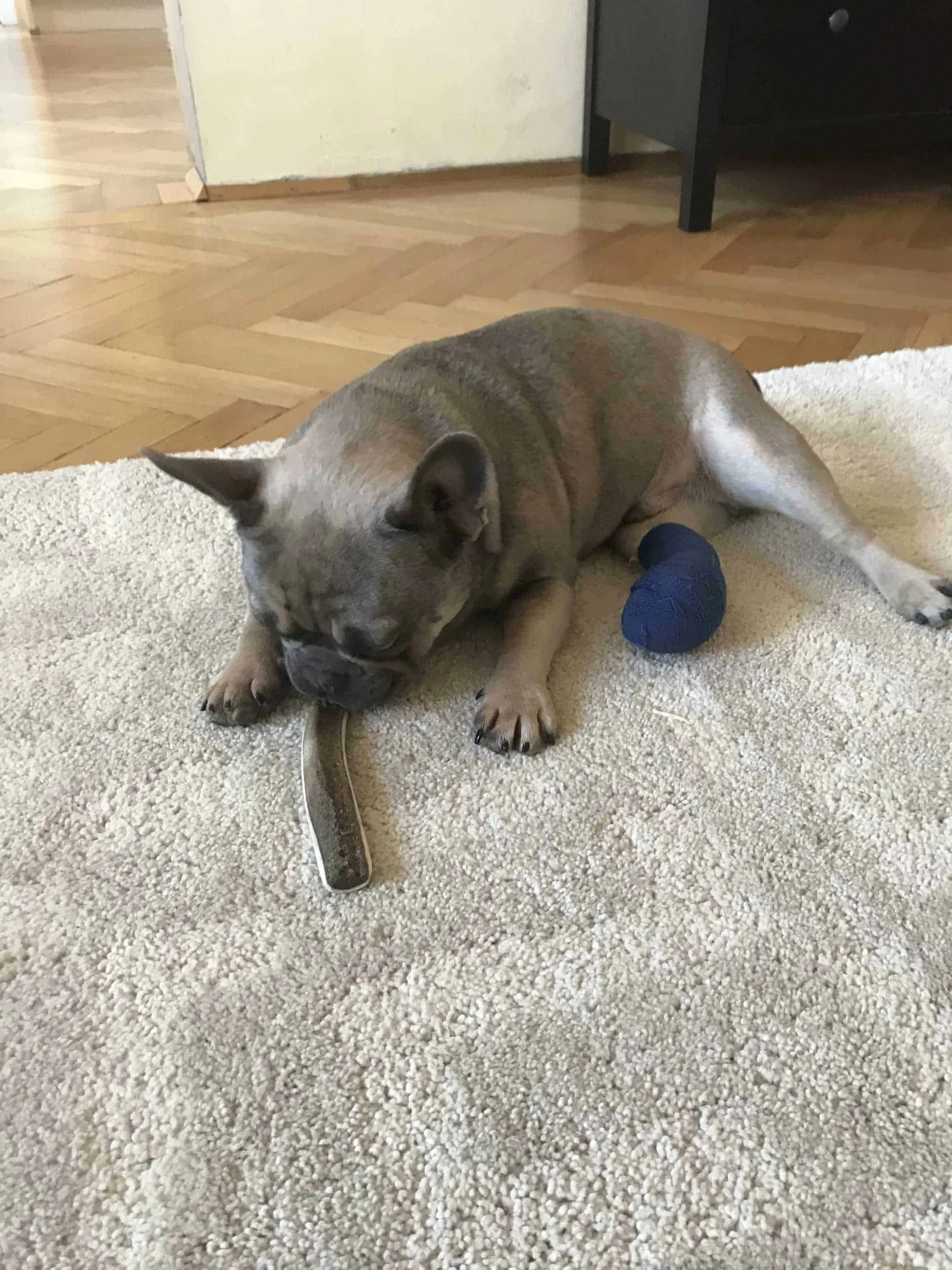 Archie Verband nach OP