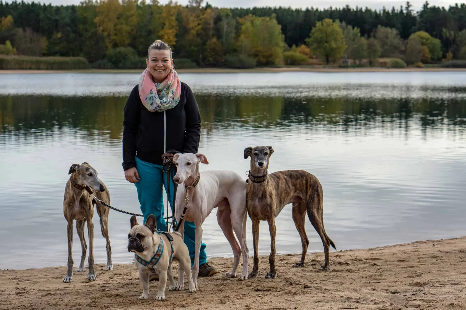 Hundereise Urlaub Rothsee Deutschland