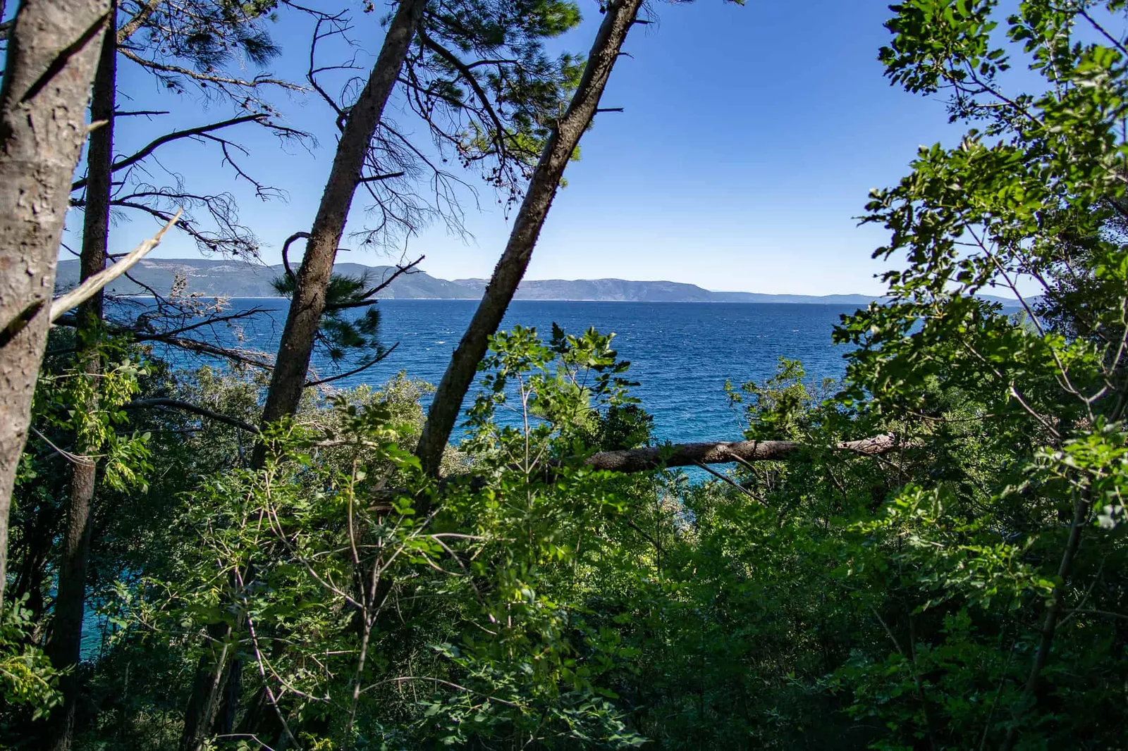 Urlaub Hund Kroatien Hundereise Rabac