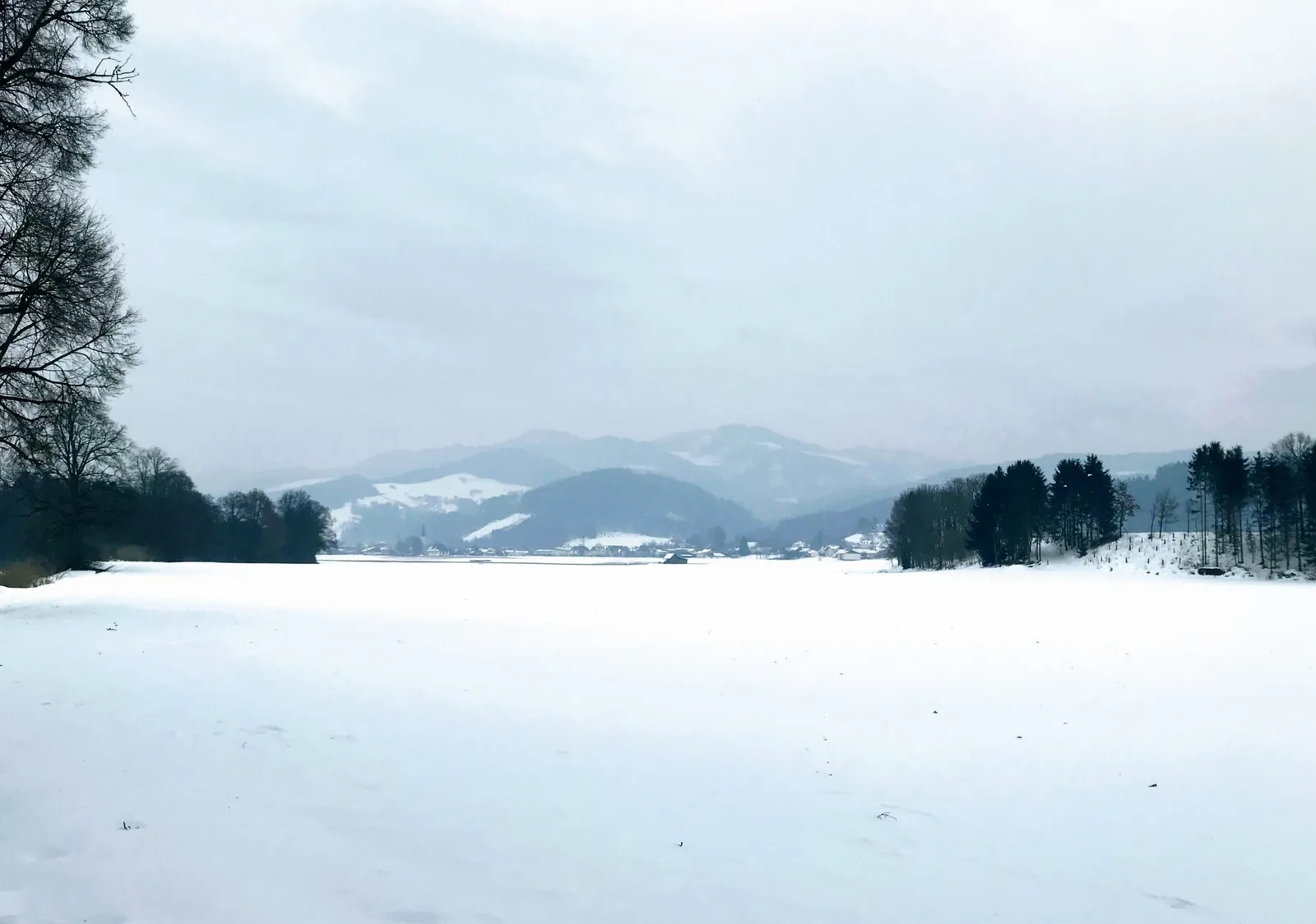 Hundeurlaub Steiermark