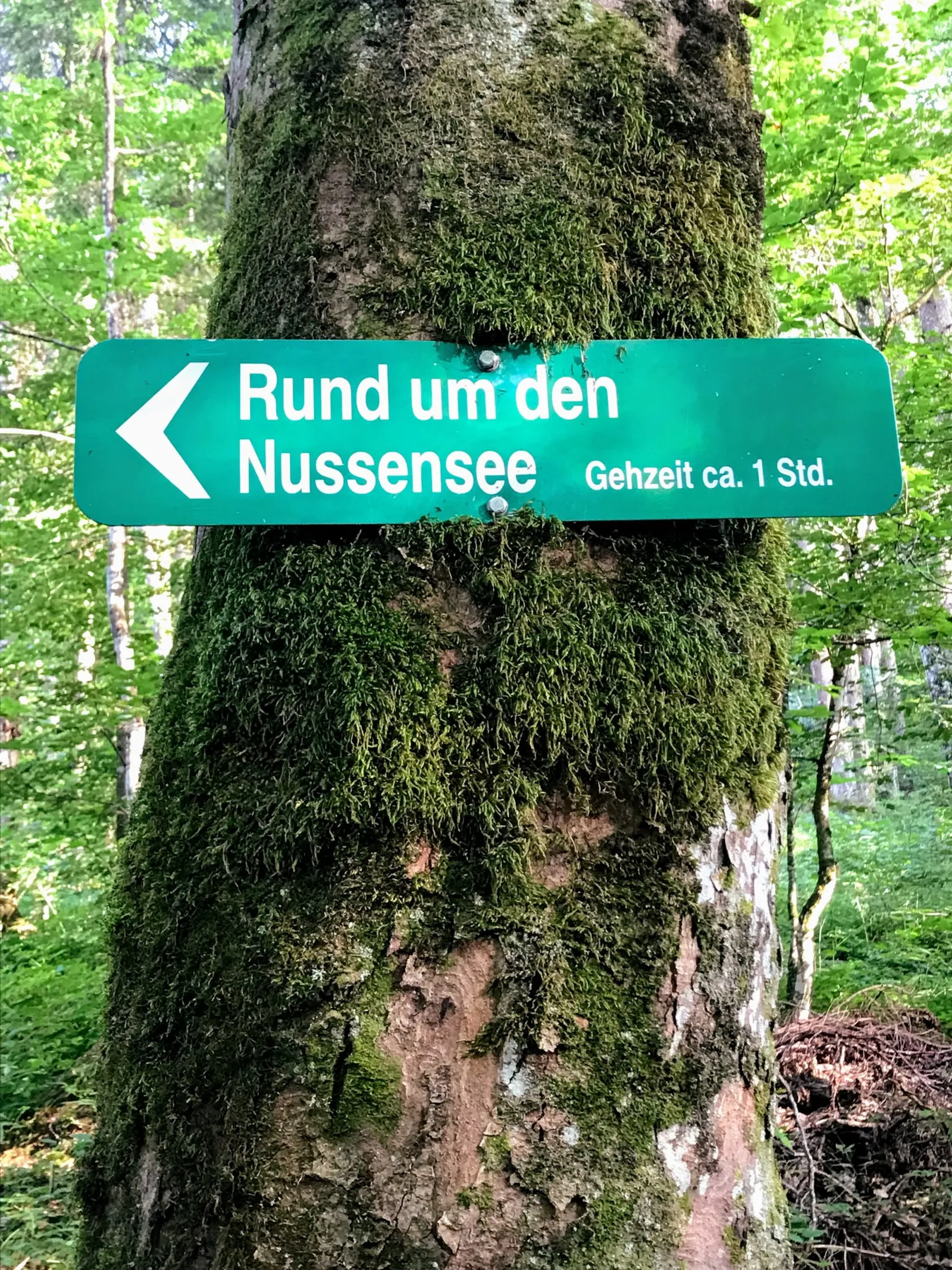 Nussensee Salzkammergut