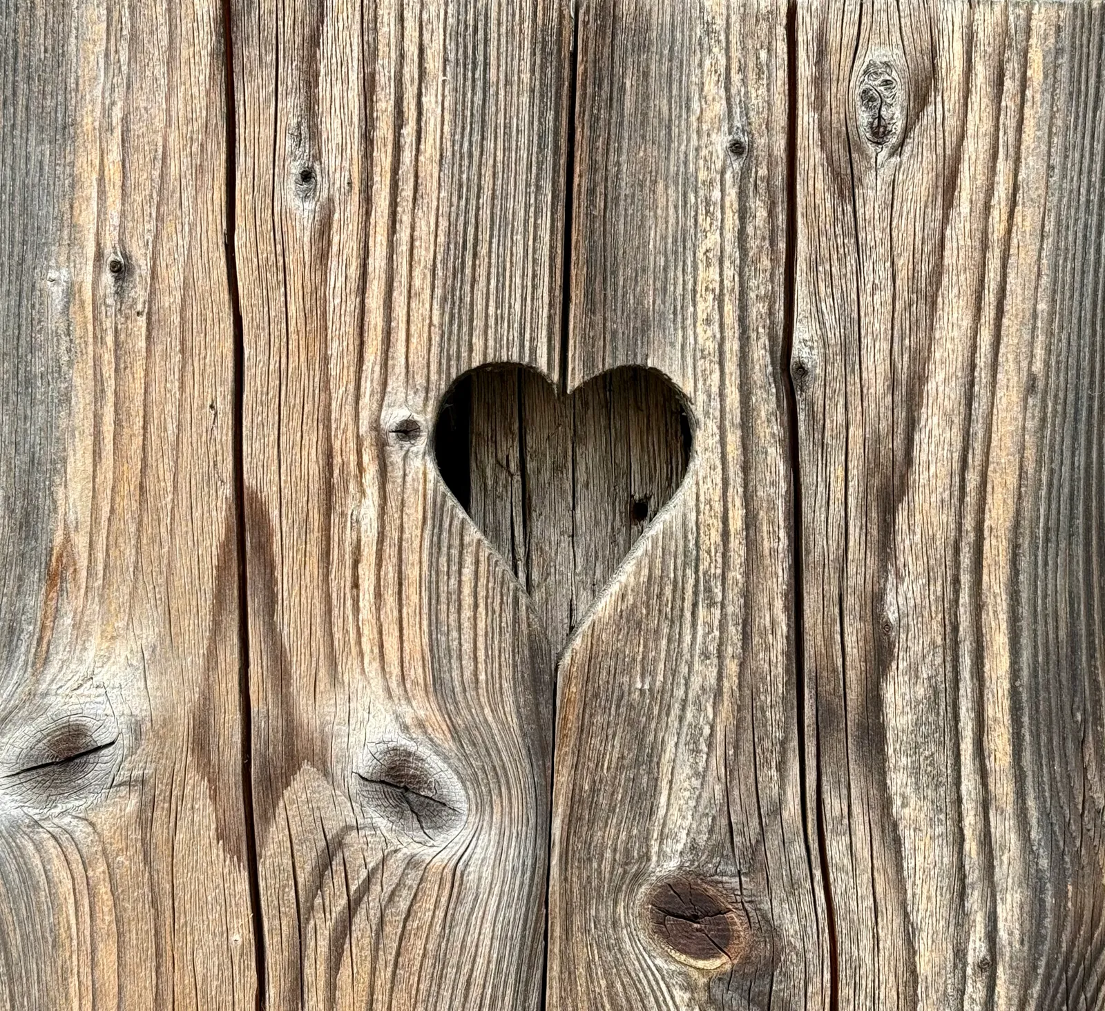 Herzförmiger Ausschnitt in einer verwitterten Holzwand aus groben Planken.