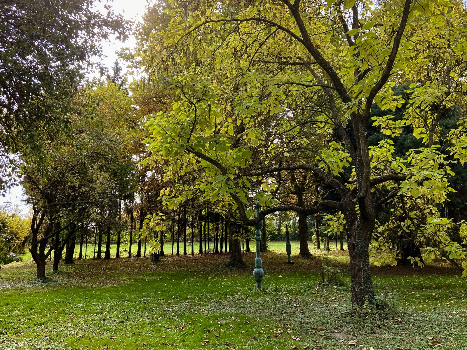 Skulpturenpark Neuhodis Burgenland Wiese