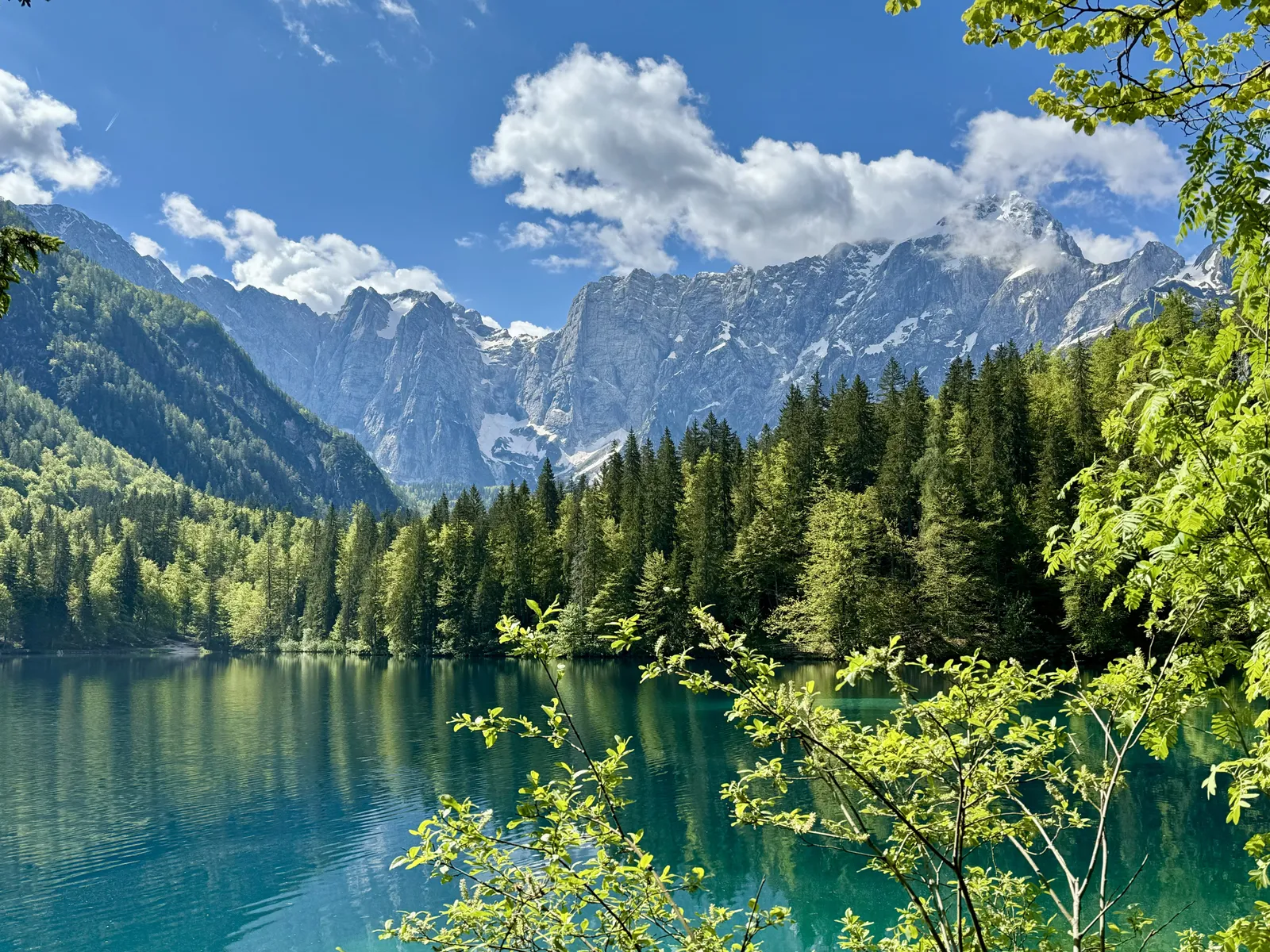 Türkisfarbener Bergsee mit Wald und schneebedeckten Bergen, durch Laubäste gerahmt.