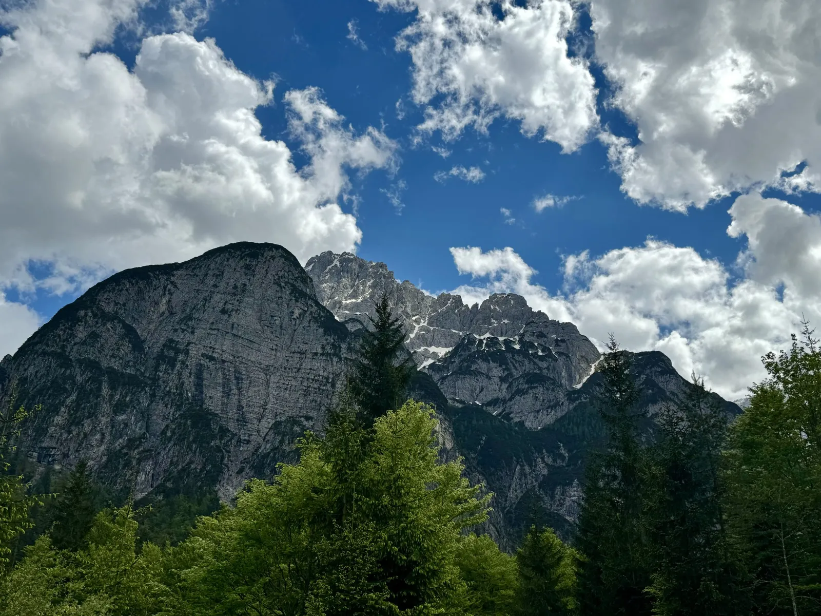 Zwei felsige Gipfel mit Schnee über Bäumen im Val Saisera unter bewölktem Himmel.