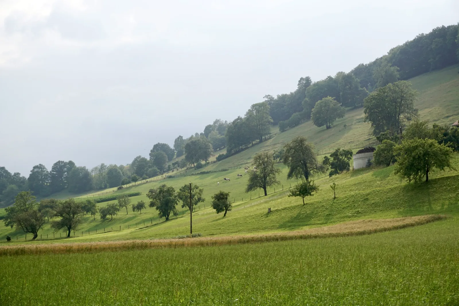 DSC5567