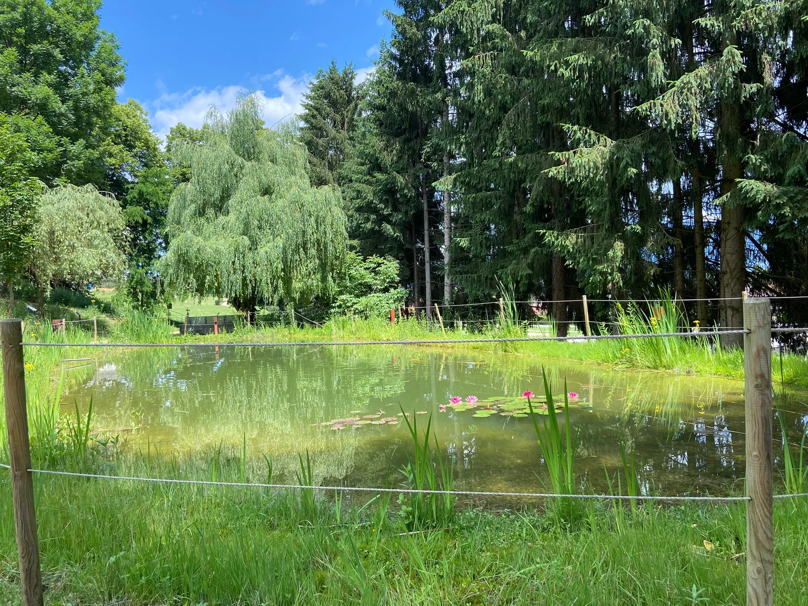 St. Andrae Verbotene Gaerten Teich