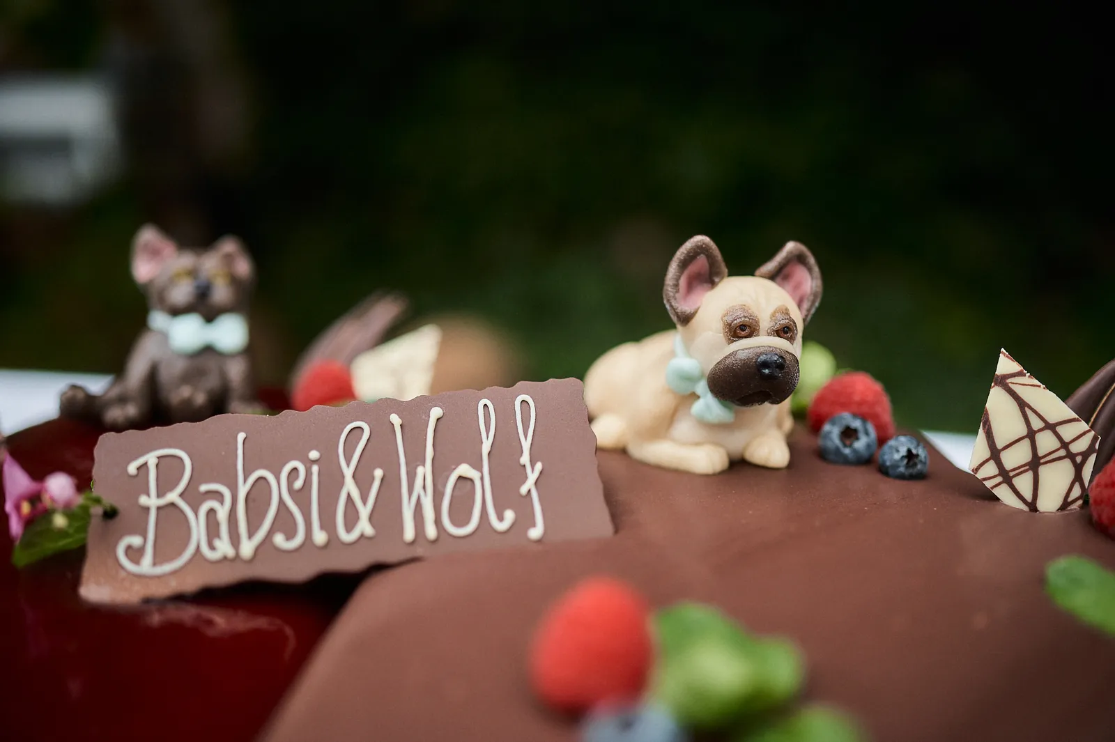 Hochzeitstorte mit der Aufschrift „Babsi & Wolf" und zwei Schokoladen-Hundefiguren, verziert mit frischen Beeren.