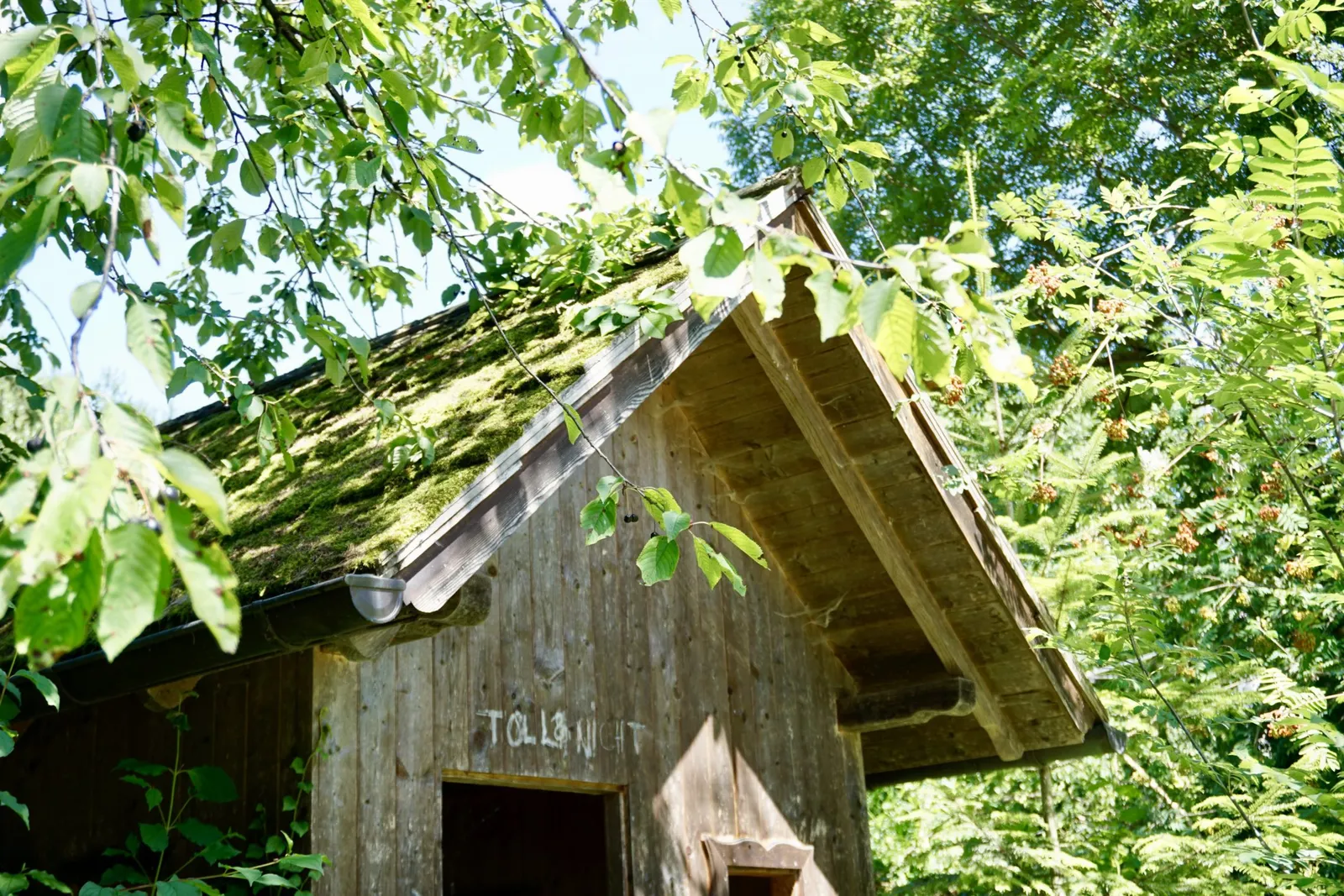 DSC5985