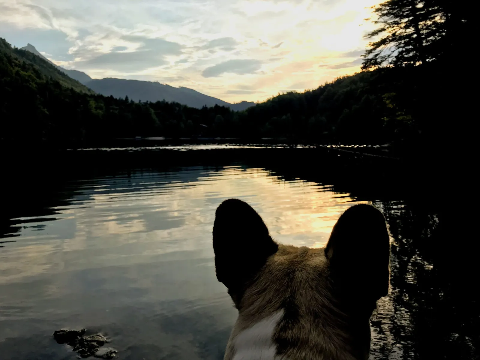 Nussensee
