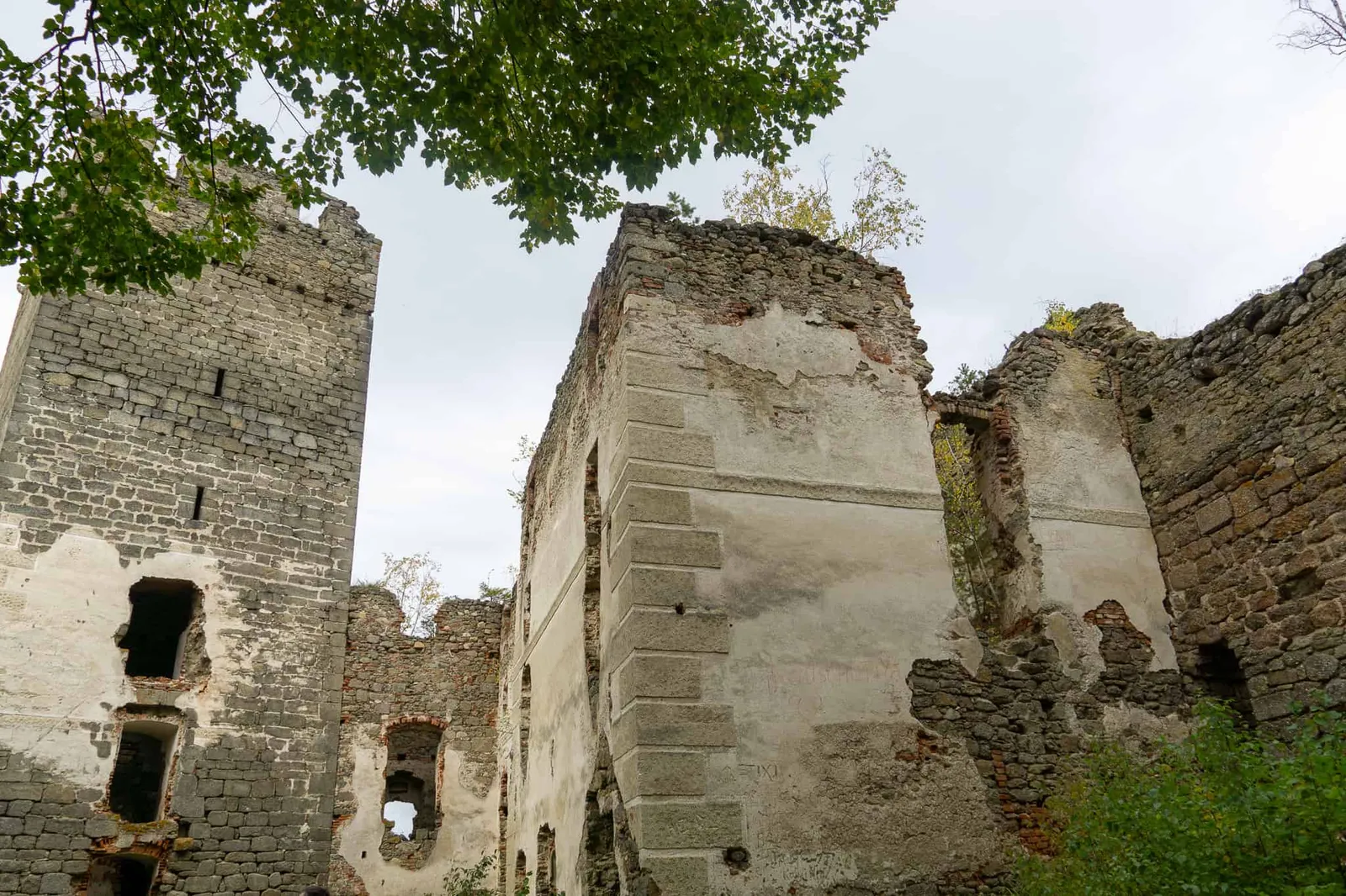 Ruine Lichtenfels Hundereise