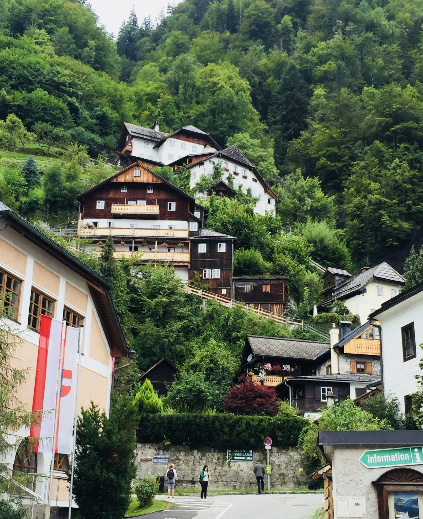 Hallstatt mit Hund