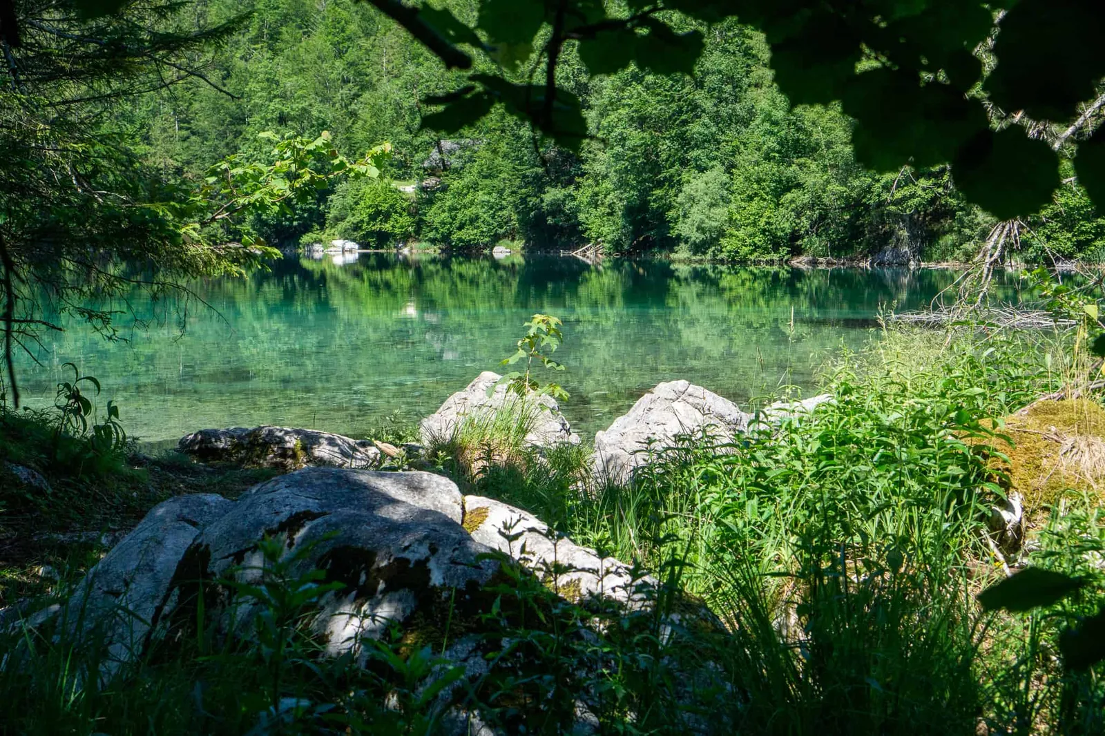Großer Ödsee Almtal Hundereise