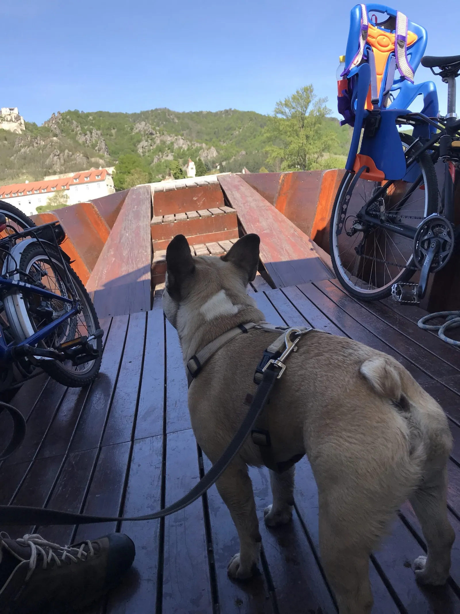 Hundeurlaub