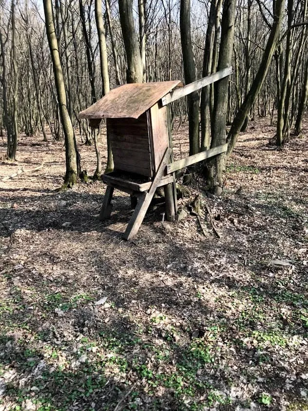 Hundefreundliche Wanderung in Donnerskirchen, Burgenland