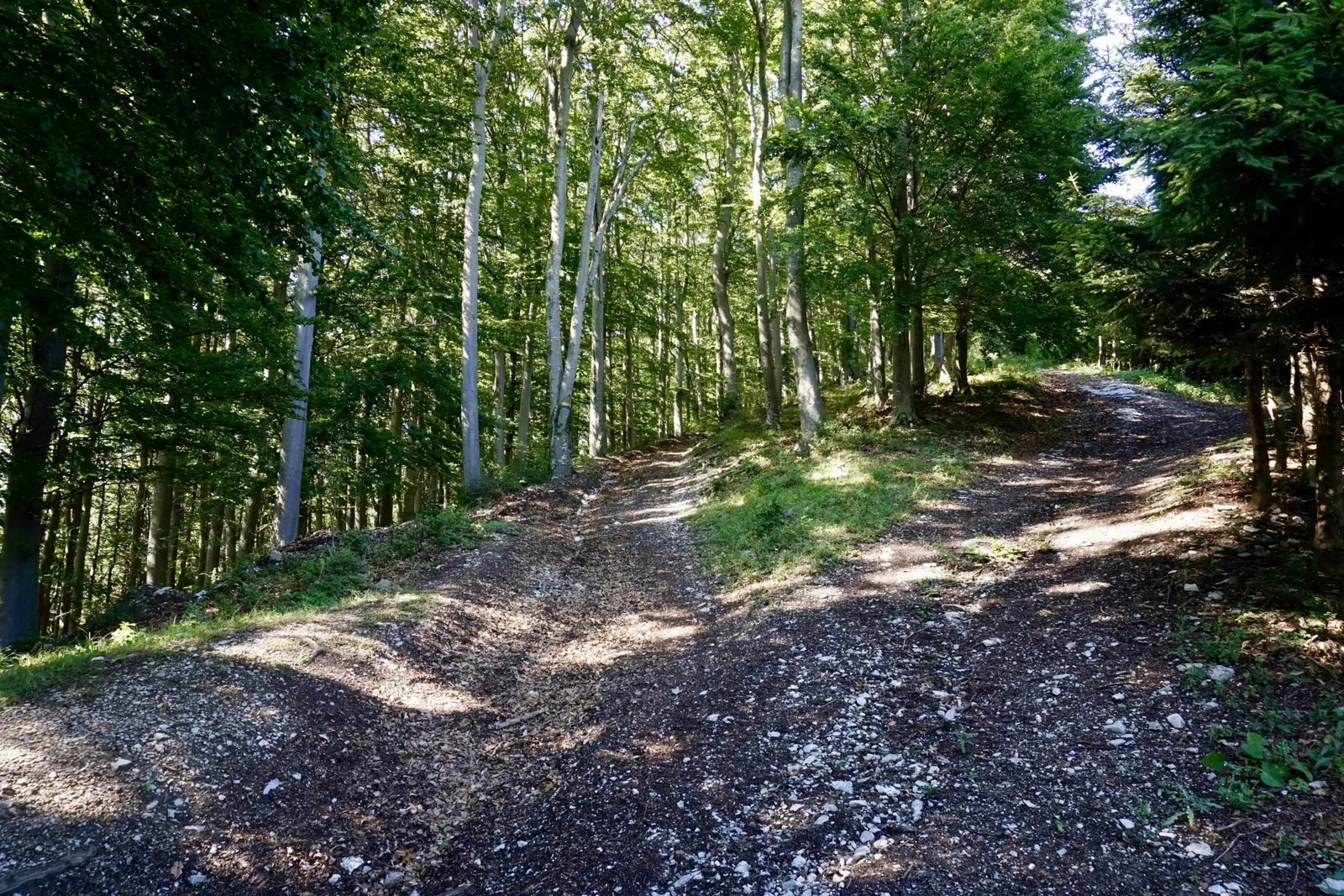 Geißbühel