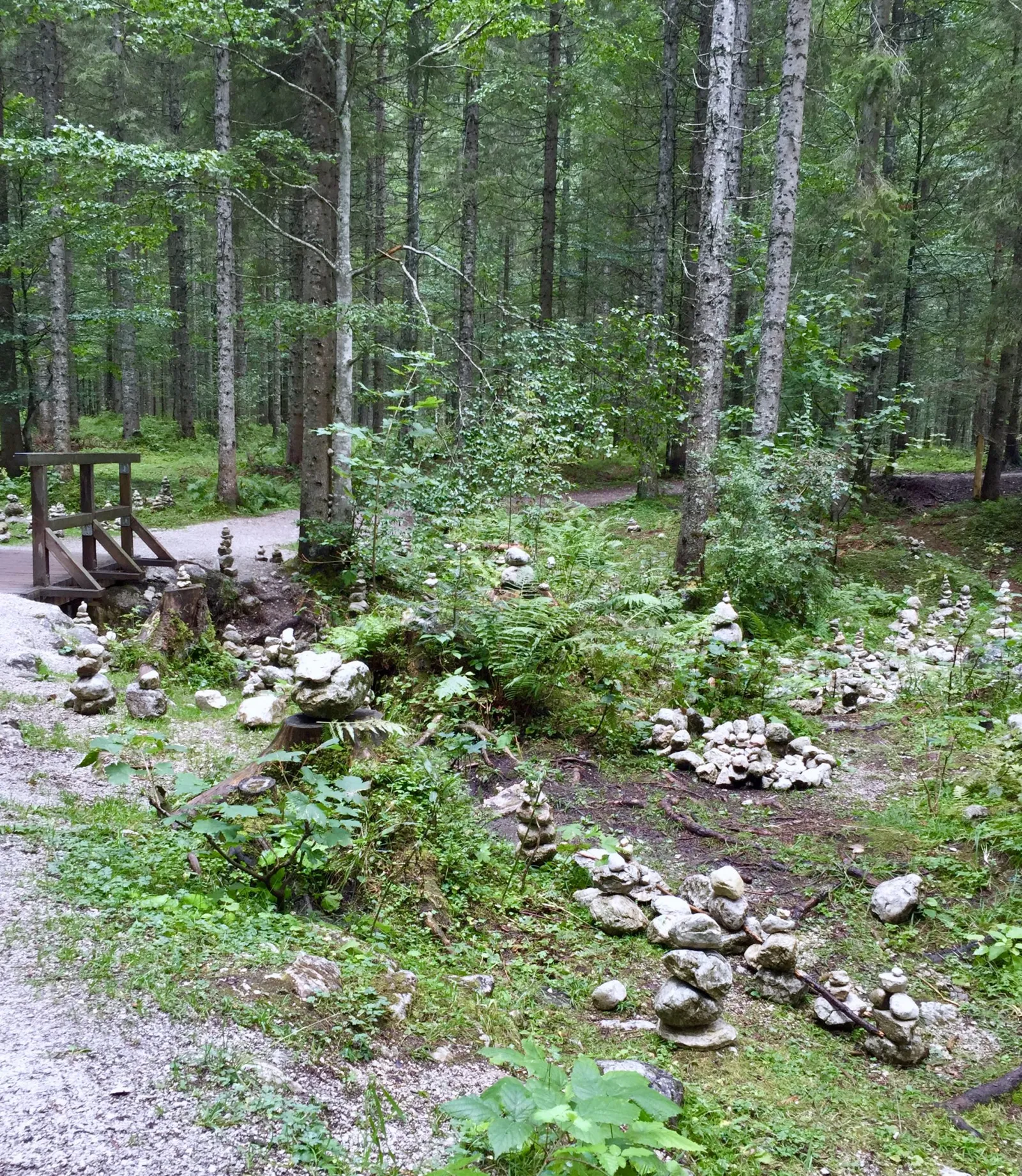 Ödensee mit Hund
