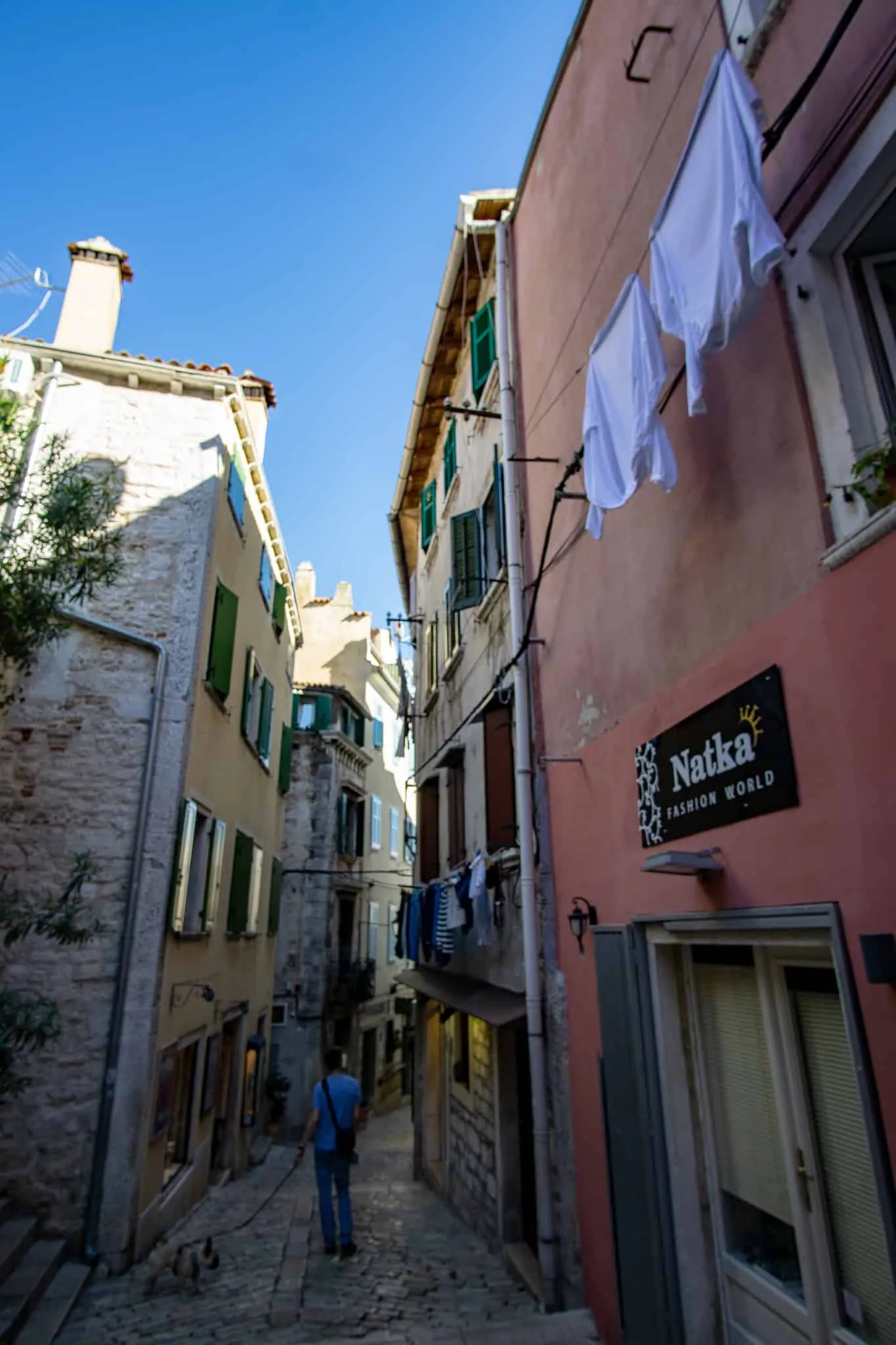 Rovinj Urlaub mit Hund Kroatien