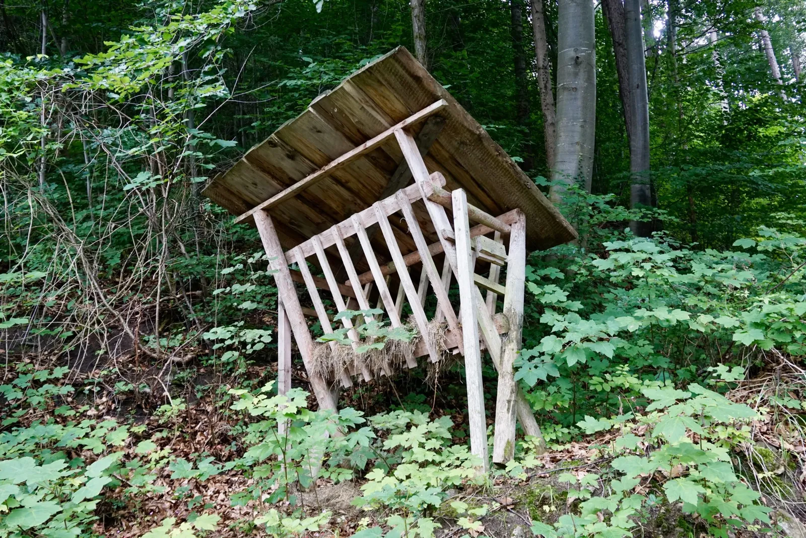 Dirndltal