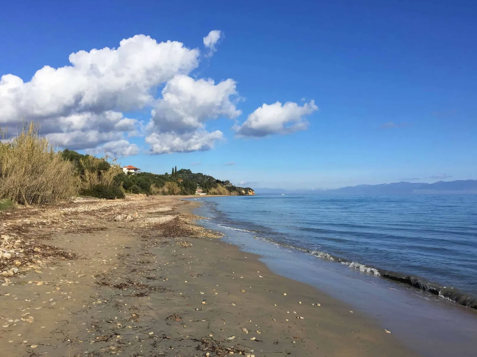 Urlaub mit Hund in Griechenland - die Strände
