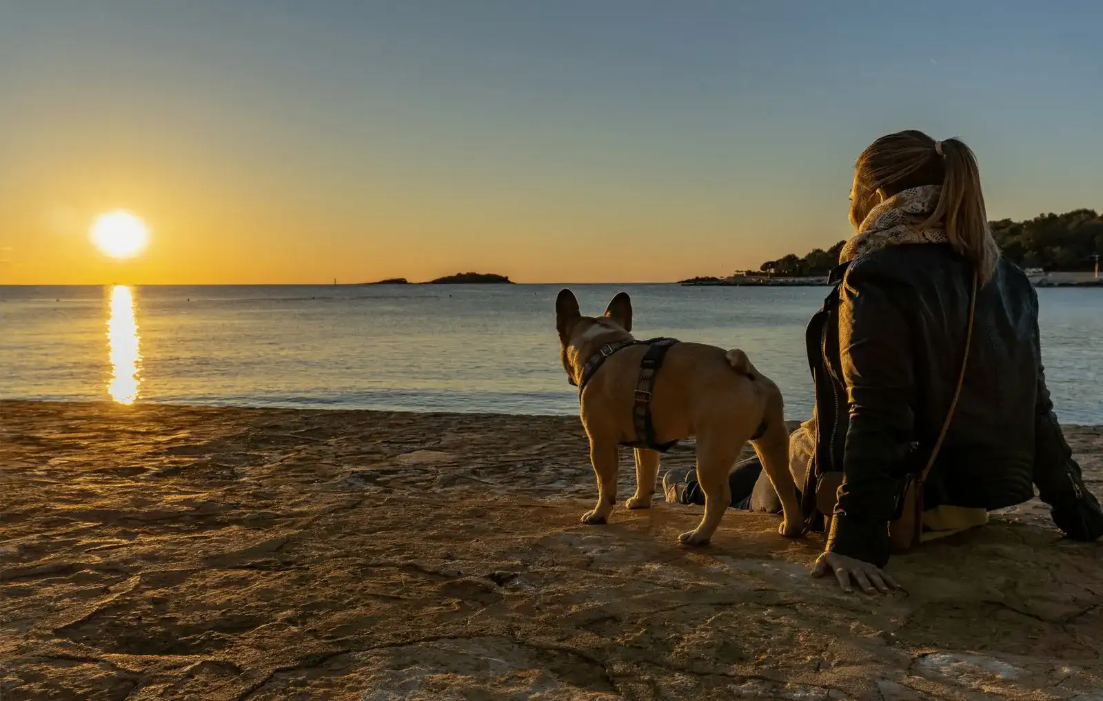 Urlaub mit Hund in Istrien, Kroatien - Teil 2