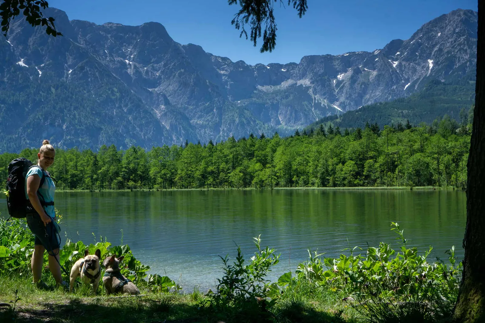 Almsee Grünau Hundereise