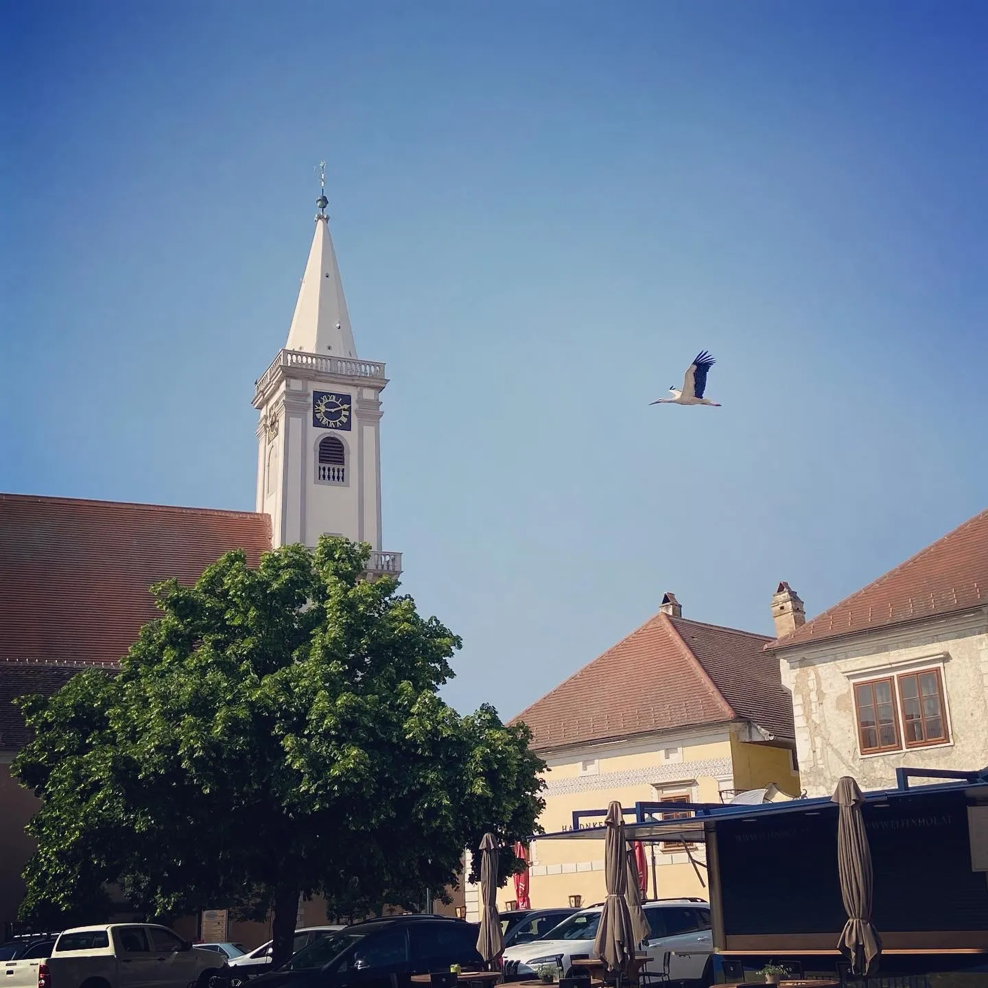 Rust_Storch-Kirchenplatz