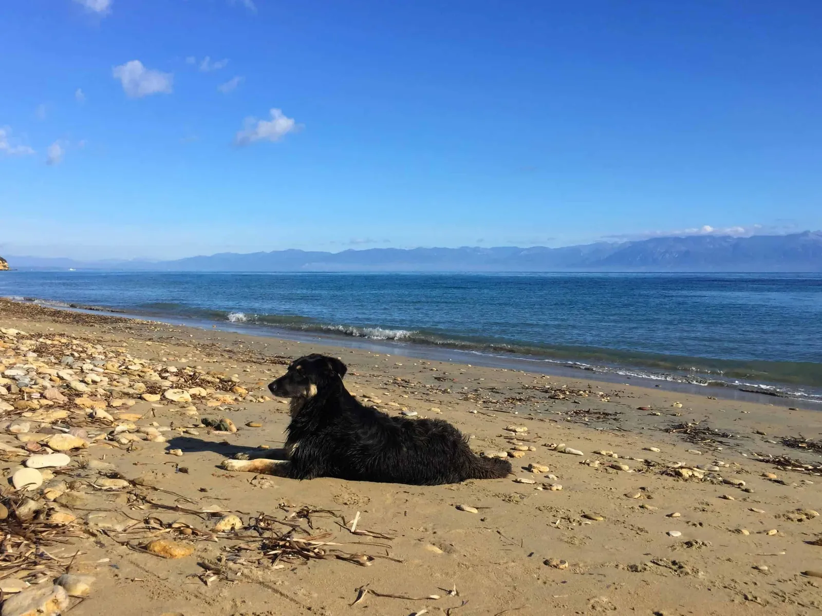 Urlaub mit Hund in Griechenland - die Strände