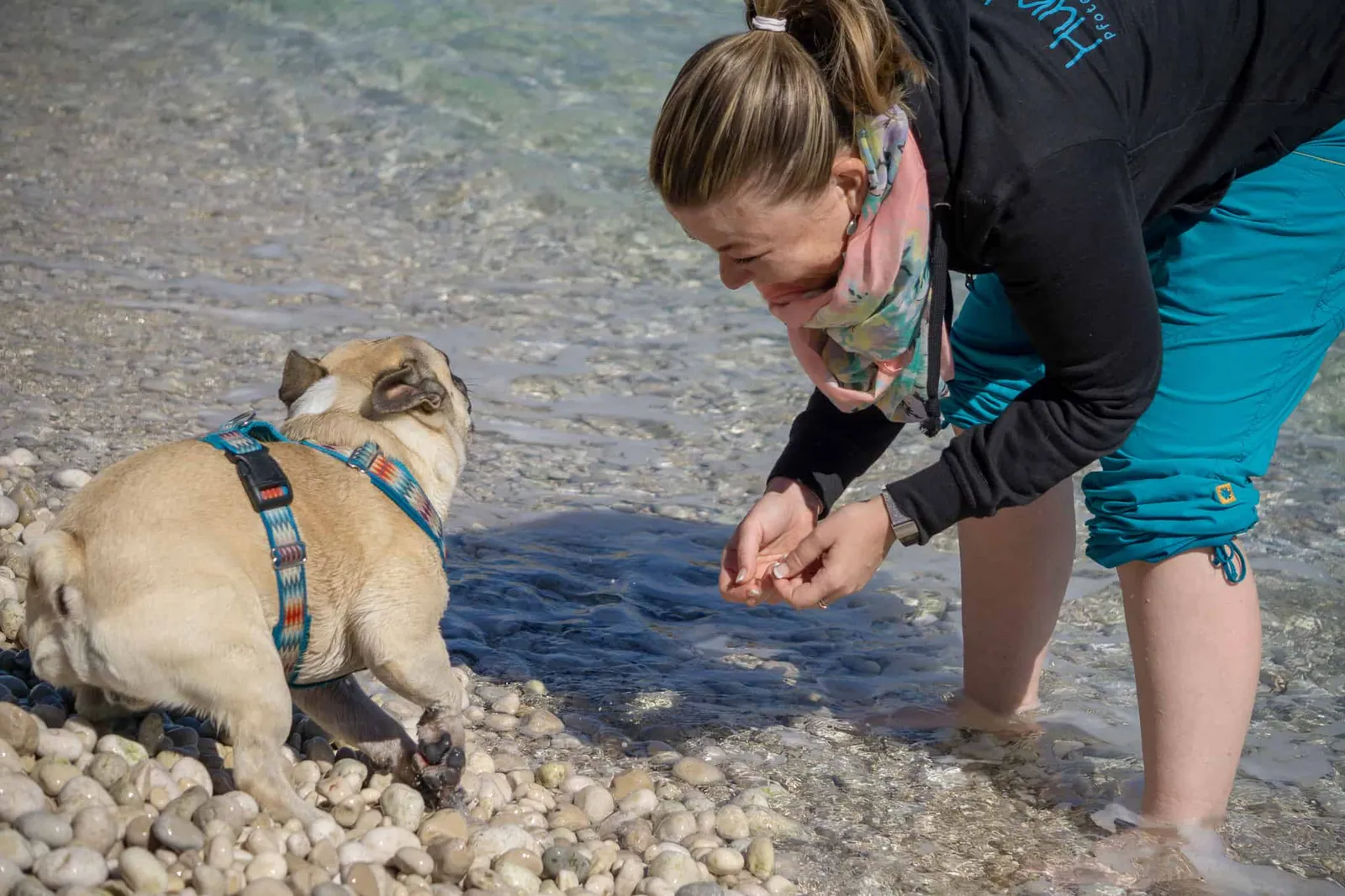 Urlaub Hund Kroatien Hundereise Rabac