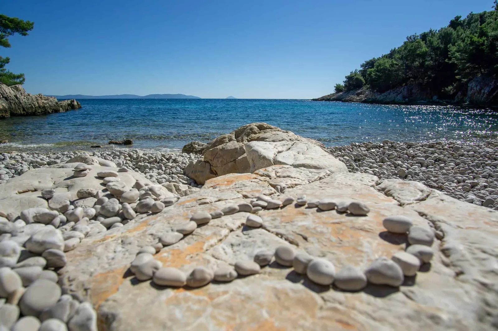 Urlaub Hund Kroatien Hundereise Rabac