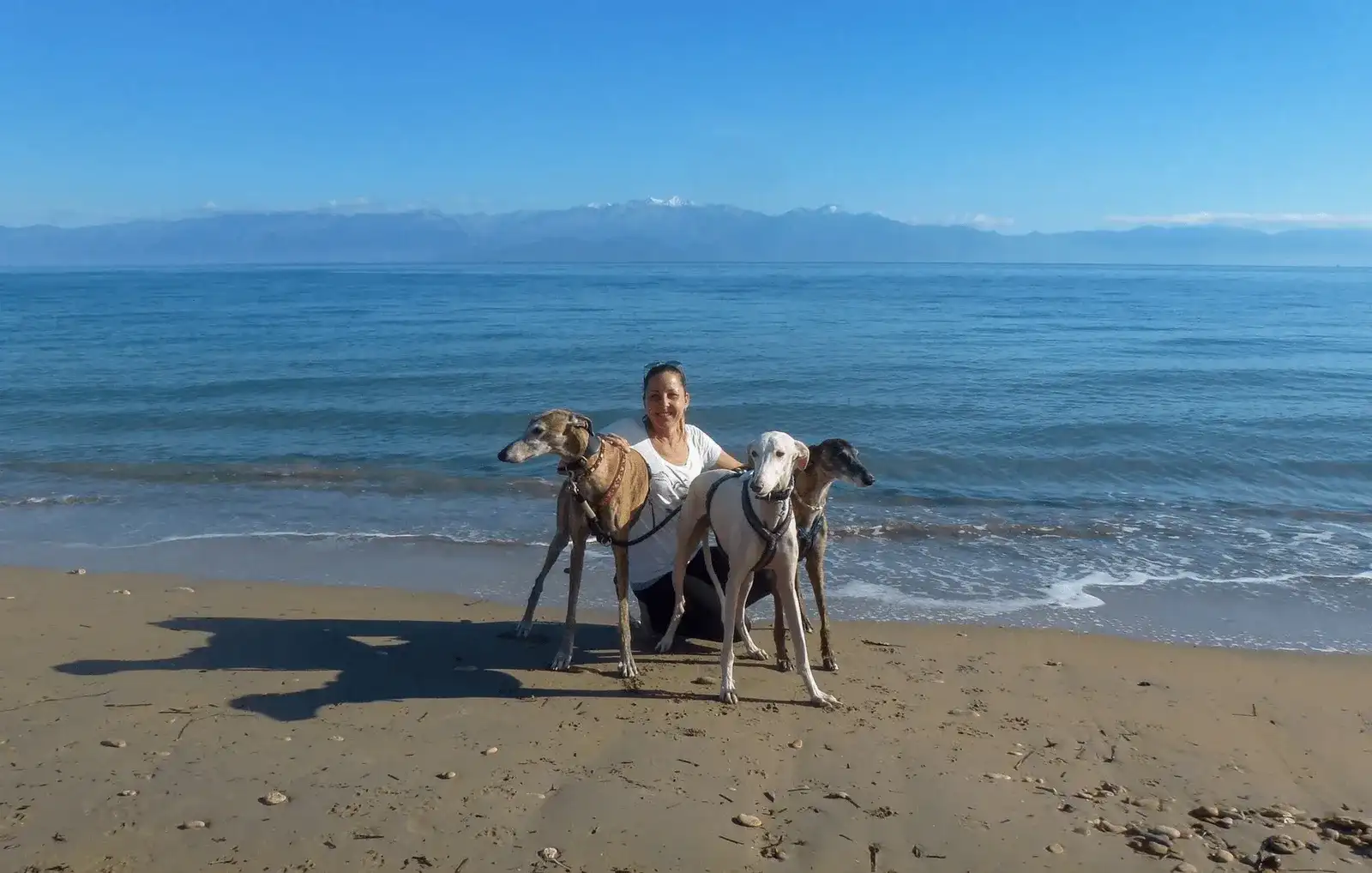 Urlaub mit Hund in Griechenland - die Strände