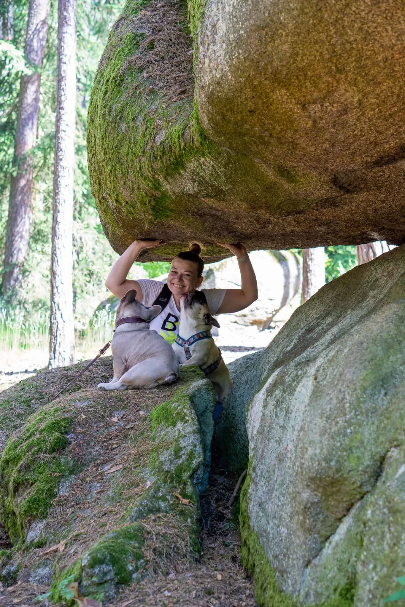 2 Hunde und eine Frau unter einem großen Steinvorsprung