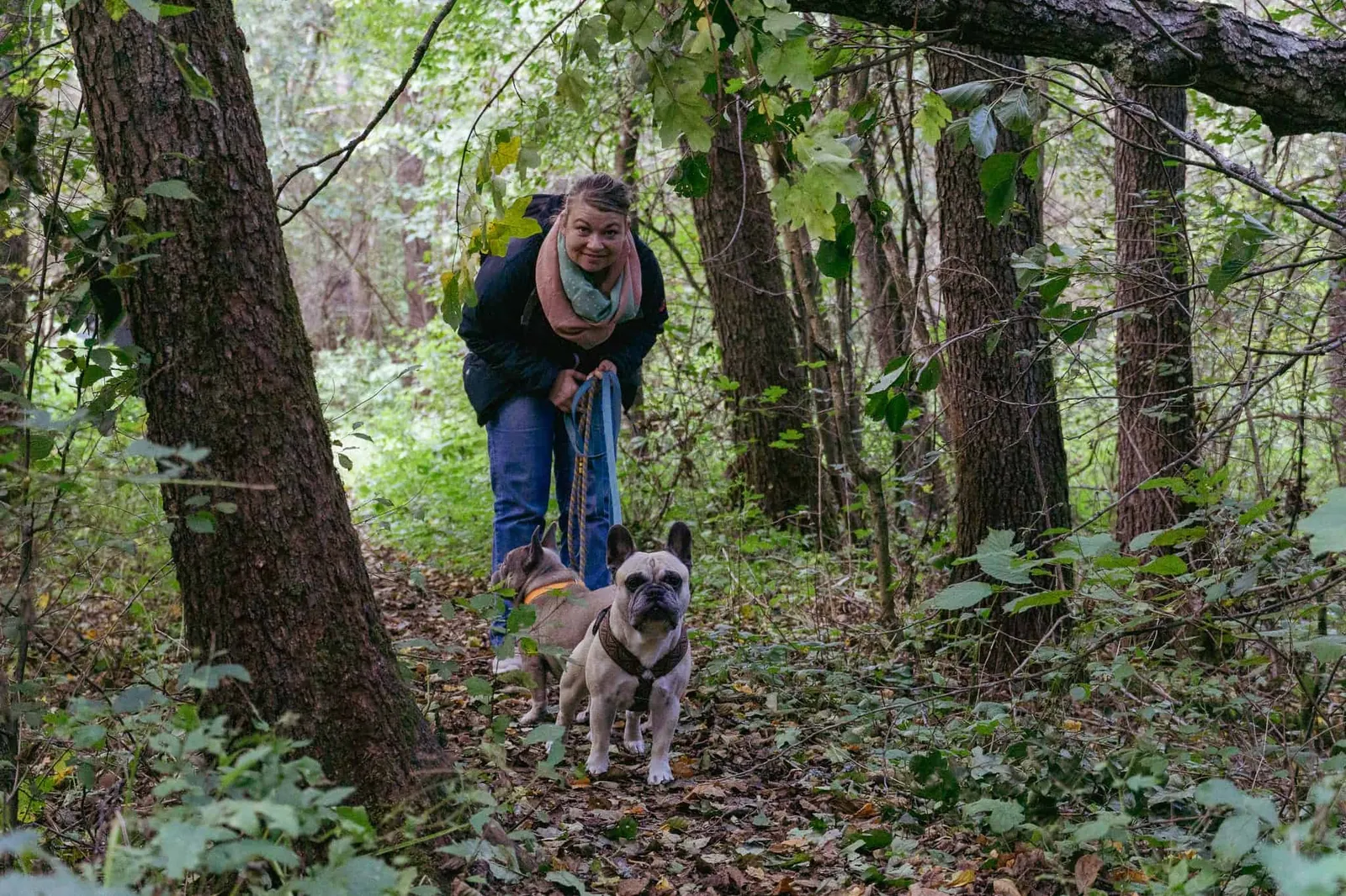 Team Hundereise im Wald beim Stausee Urbersdorf, Südburgenland