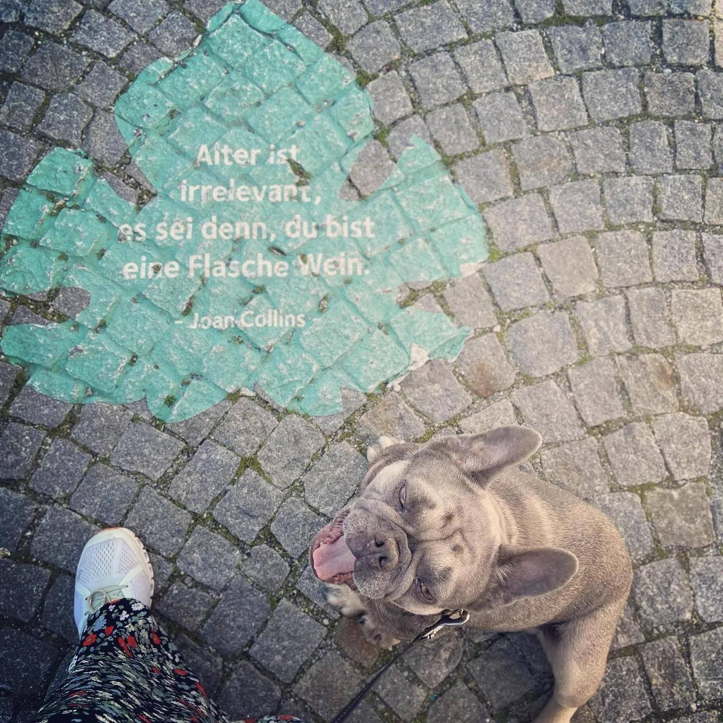 Rust_weiser-Spruch_Archie