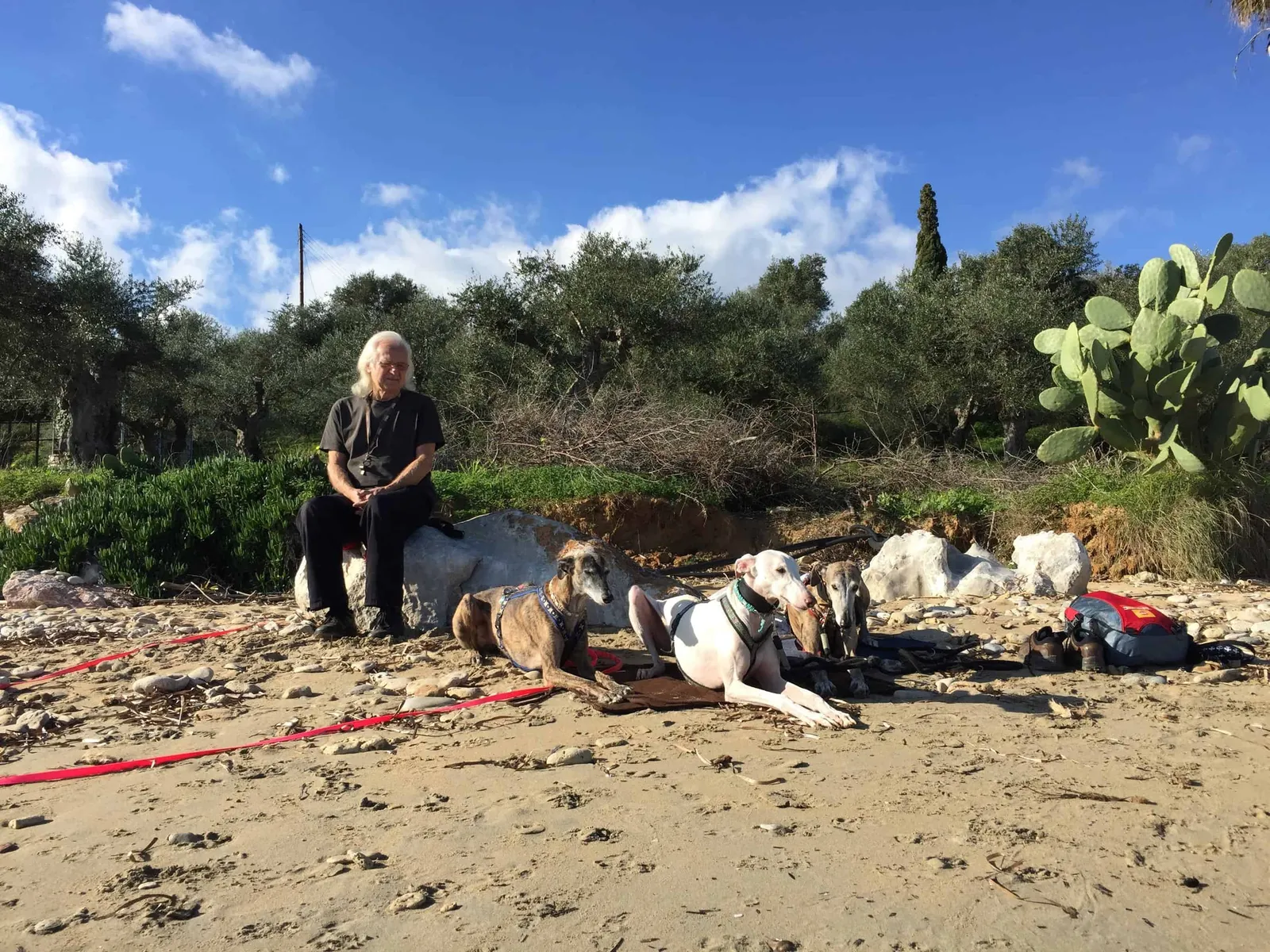 Urlaub mit Hund in Griechenland - die Strände