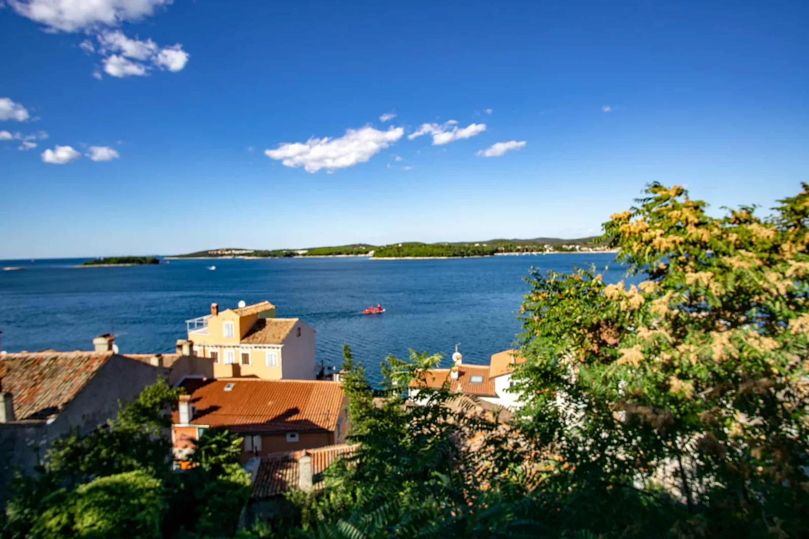 Rovinj Urlaub mit Hund Kroatien