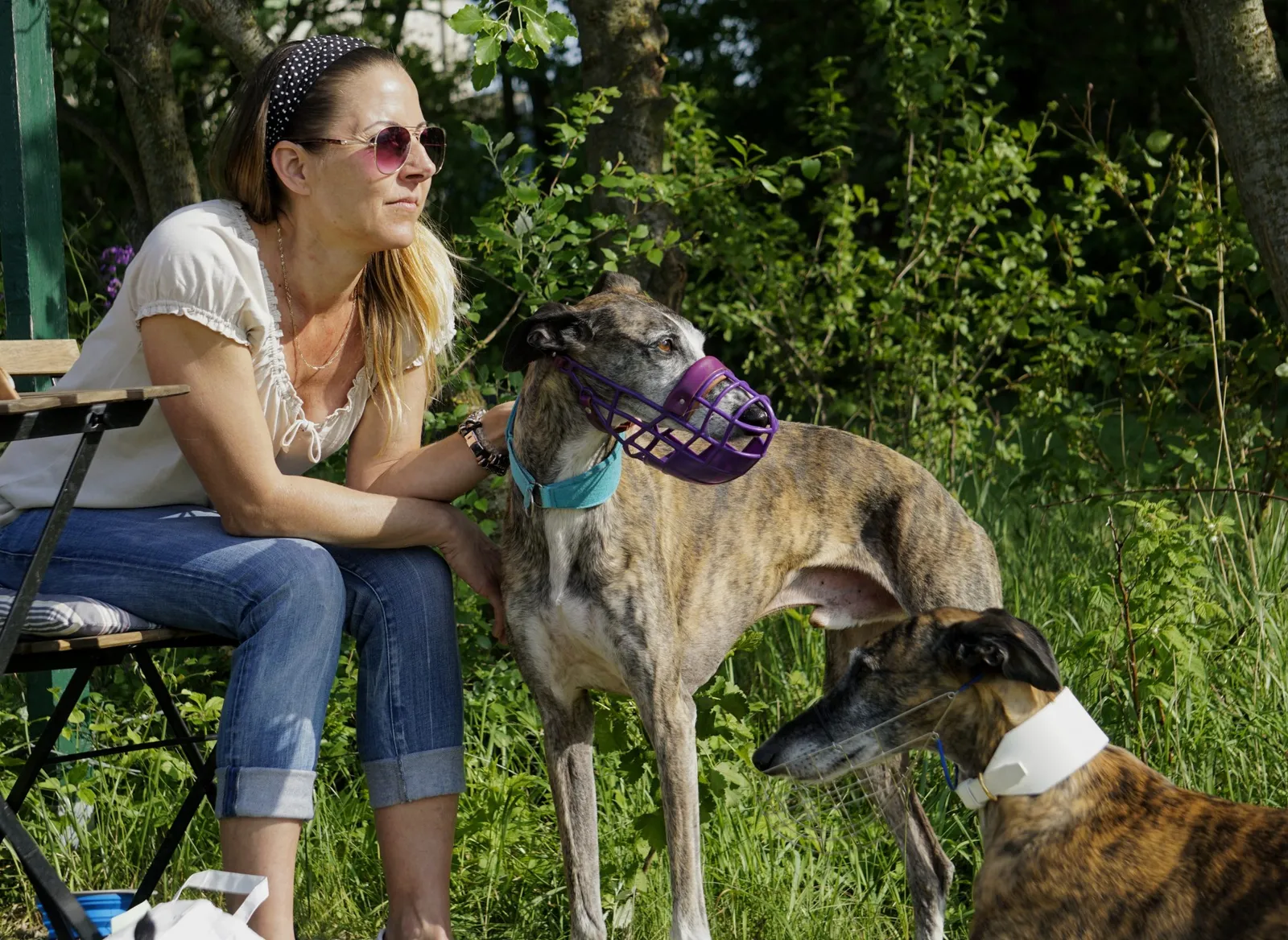 Galgos